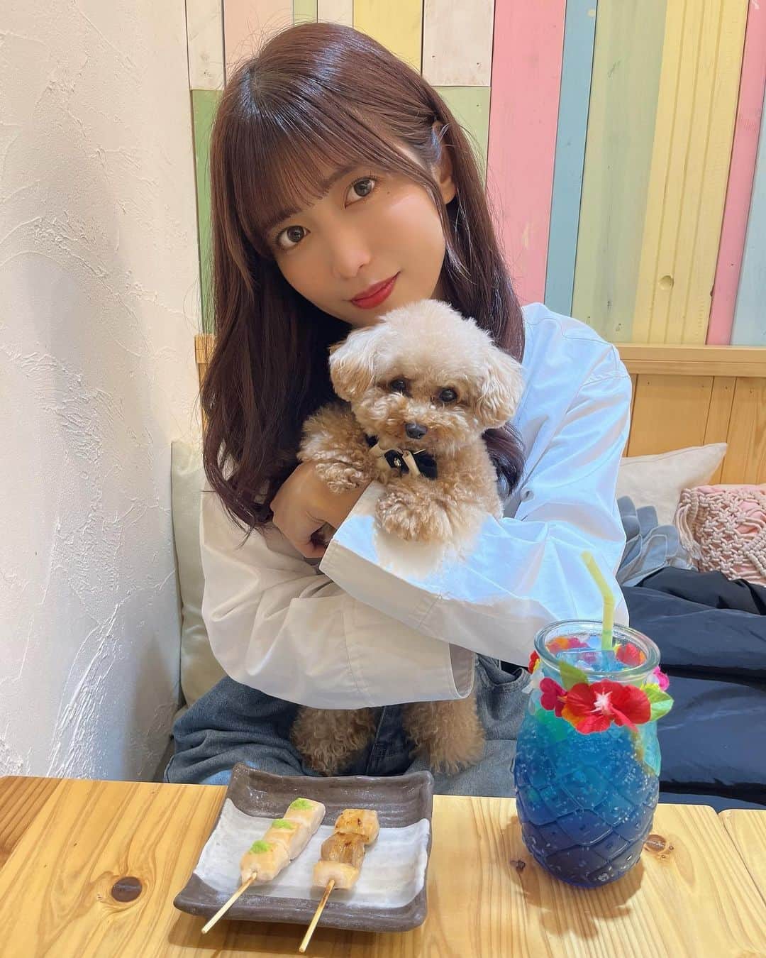のインスタグラム：「ワンちゃん用の焼き鳥🫶🏻  上のワサビみたいなのは えだまめペーストなんだって🍃  すごーーいっ！⸜( ॑꒳ ॑ )⸝ 動画撮ったからお楽しみに！」