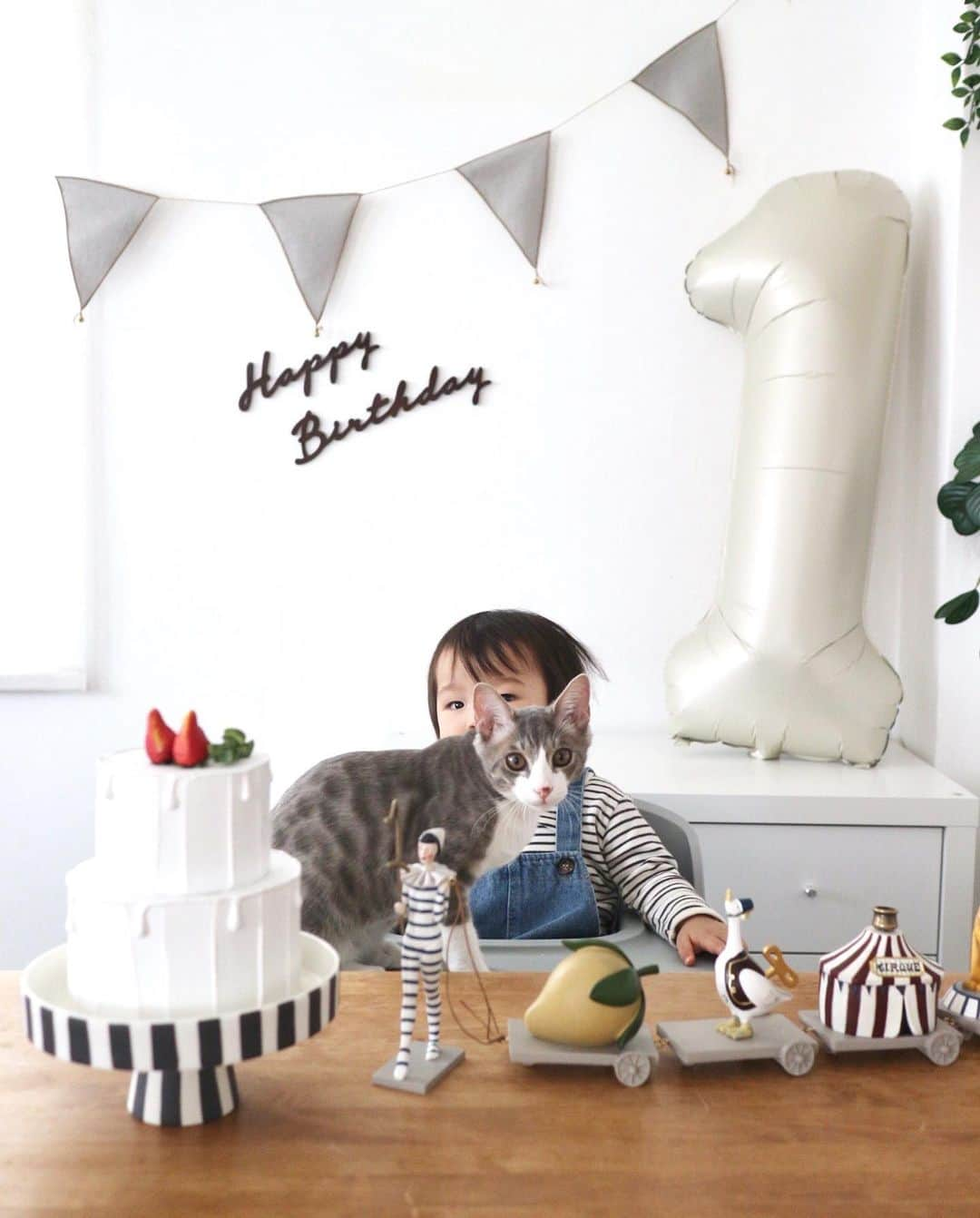 nocoaのインスタグラム：「． だいたい猫が主役になる ． ． #誰の誕生日 #あっという間に息子一歳 #いつかの写真 #ボーダー多い  #赤ちゃん  #赤ちゃんと猫  #子猫#kitty  #はちわれ#ハチワレ#猫#ねこ部#cat#にゃんすたぐらむ#にゃんグラム#catsofinstagram#DailyFluff#WeeklyFluff#保護猫#猫好きさんと繋がりたい#ねこのいる生活#猫のいる暮らし#9gag#meowed#猫とインテリア」