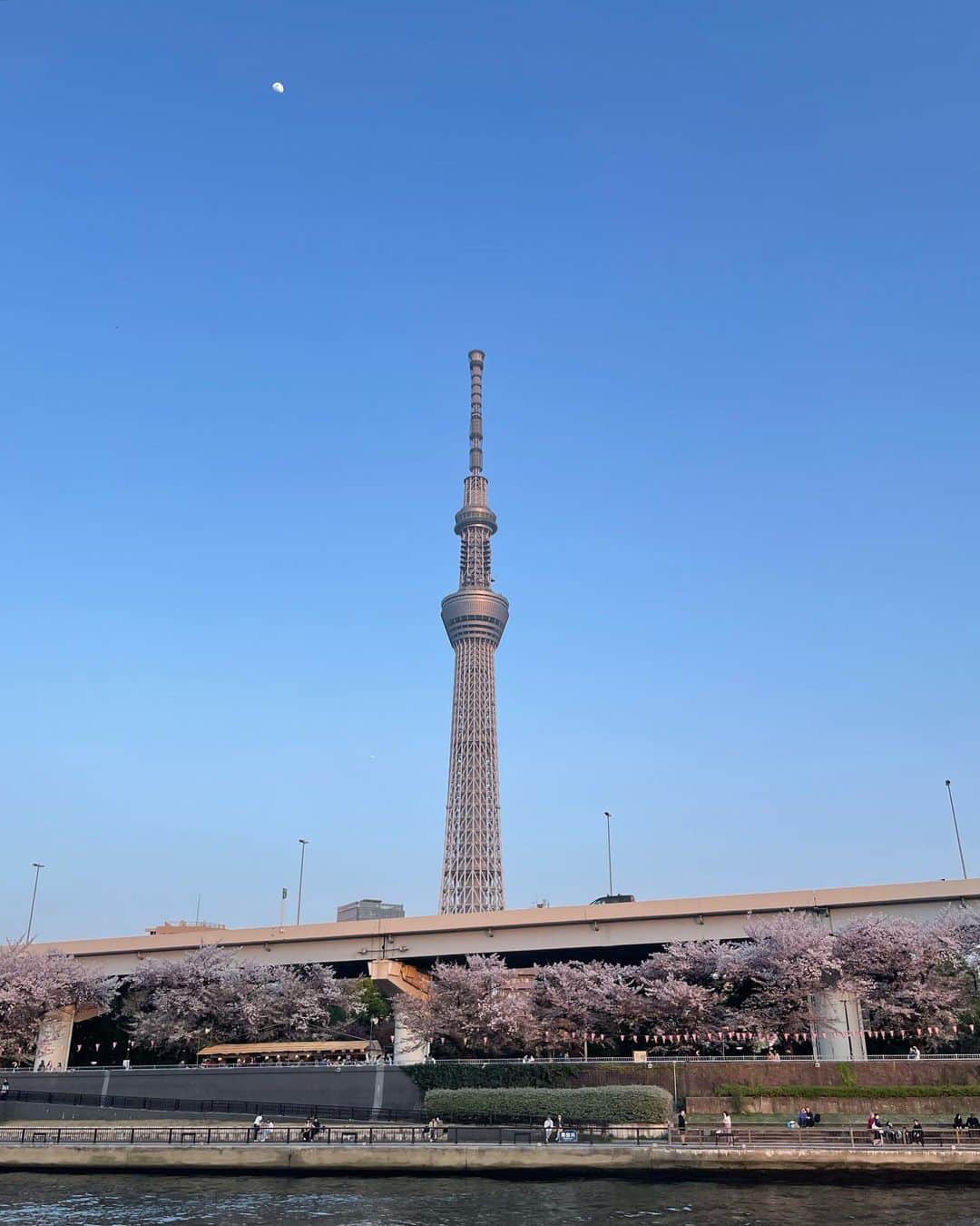 尚玄さんのインスタグラム写真 - (尚玄Instagram)「My first cherry blossom viewing cruise on Sumida river. Thank you for inviting @inouetakashi san!!   #CheeryBlossom #Sumidariver #Skytree  #花見 #隅田川 #スカイツリー」4月10日 21時48分 - shogenism