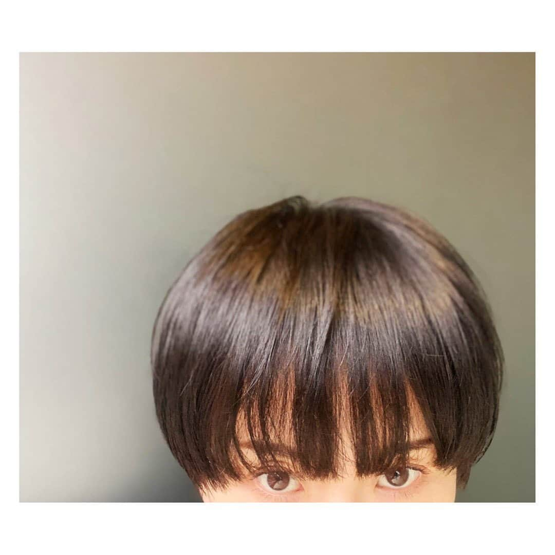 陽月華さんのインスタグラム写真 - (陽月華Instagram)「☆  マッシュ‼︎  @botan_kentaro  #hairstyle  #hair  #ショートヘア #ショート  #ショートカット #マッシュショート  #マッシュルーム #マッシュルームカット  スイカ頭みたいだけど スイカ頭すぎない スイカ頭みたいなかんじにしてください。  っていう オーダーに  幽幻道士ですね。  って返してくれる同年代の @botan_kentaro   ☺︎！  #幽幻道士 #キョンシー #スイカ頭」4月10日 21時50分 - hizukihana_official