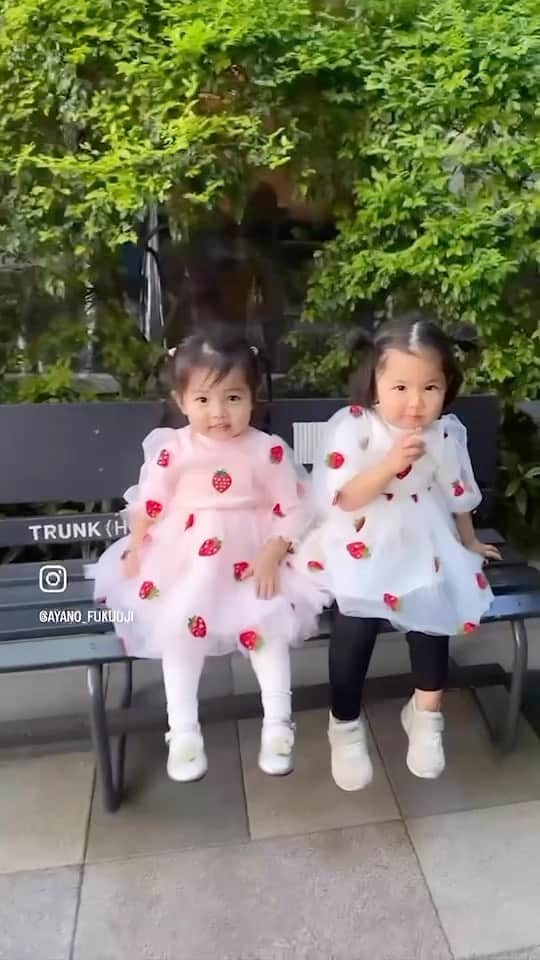 申真衣のインスタグラム：「チビノとパンダの🍓会合🎀🐼」