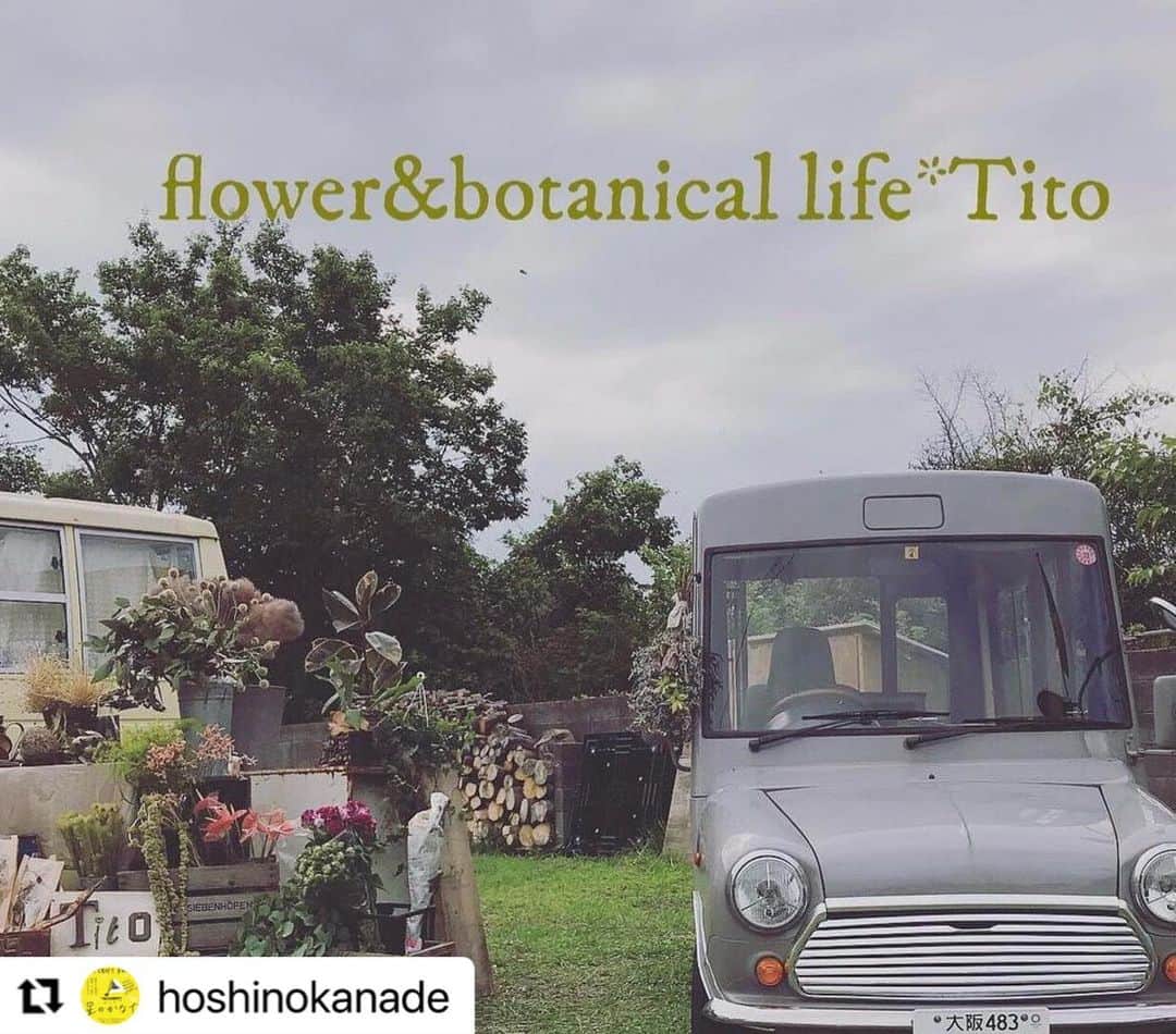 cafezakkagallery-flagのインスタグラム：「#Repost @hoshinokanade with @use.repost ・・・ 星のかなで2023-出店者-  4/22(土)10:00-17:00 大阪府枚方市駅前ニッペパーク岡東中央公園 FREE LIVE:コトリンゴ　@kotringo717  HIRAKU YAMAMOTO @hirakuyamamoto   flower&botanical life *Tito @tito.flower_botanical_life  Lykke　 @lykke_c  socket @zakkasocket  wash＋ @harusan8282   migiwa motohashi @migiwa88 antico @antico_furukagu  ソックスはきこ @sockshakiko  noyer @noyerr _ Hitomi  Mainichi @kissamainichi  普賢寺ふれあいの駅 @fugenjifureainoeki  ３輪社 @3rin.sya  大森堂 | 焼き菓子の店 @oomorido ロップとポニの花装飾店 @rop_and_pony  NUKUcurry&toiro @nuku_toiro  #星のかなで #星のかなで2023 #大阪フェス #大阪ミュージッククラフト #フードマーケット #野外イベント #枚方市 #コトリンゴ #HIRAKUYAMAMOTO」