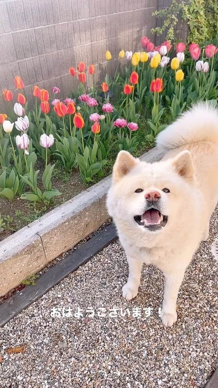 水谷雅子のインスタグラム