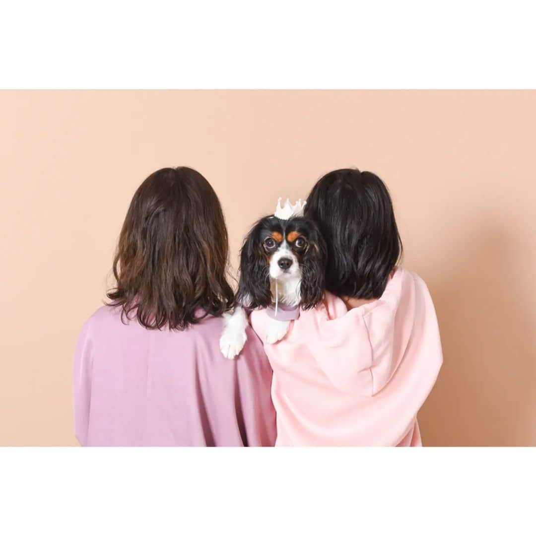 Photo Studio178のインスタグラム：「National Pet Day 🐶🐱🐦️🐢  *.:･.｡**.:･.｡**.:･.｡**.:･.｡**.:･.｡**  【もっと気軽に 愛犬と写真がとれる フォトスタジオ】 @studio178_wanko  *.:･.｡**.:･.｡**.:･.｡**.:･.｡**.:･.｡** 　 【National Pet Day】 →飼い主がペットに愛や感謝を 　伝える日  店長は小学生時代から13年 セキセイインコと暮らし 表現力が豊かになりました🐦️ 今でも夢に出てきてくれます☺️ 　 　 #nationalpetday #キャバリア #cavalier  #スタジオ178わんこ #月島 #勝どき #豊洲 #中央区#江東区 #写真スタジオ #フォトスタジオ #写真館  #家族写真  #dog #dogstagram #doglife #doglover #わんこポートレート #withdog #pawtraits  #わんこのいる暮らし #わんこのいる生活  #わんすたぐらむ   #いぬのきもち #犬スタグラム #犬部 #犬との暮らし」