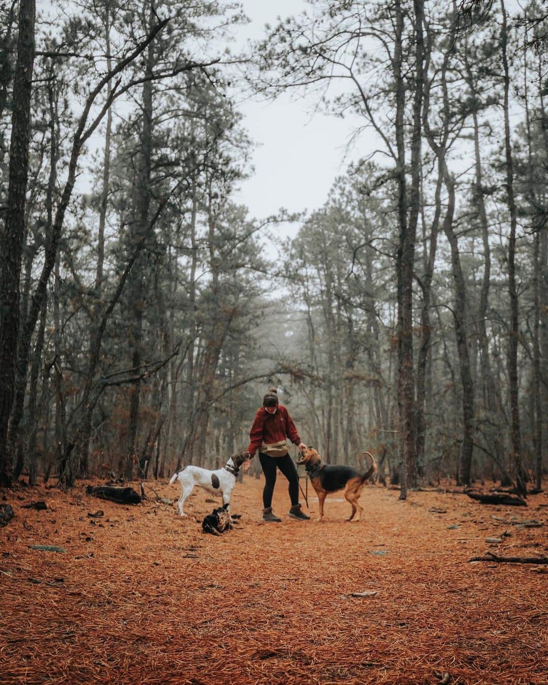 L.L.Beanさんのインスタグラム写真 - (L.L.BeanInstagram)「95% of people experience a decrease in stress when outside. We don't have the number for dogs, but based on the tail wags, we'd say they feel pretty good too. #BeanOutsider (📸: @pinebarren_overland)」4月10日 23時52分 - llbean