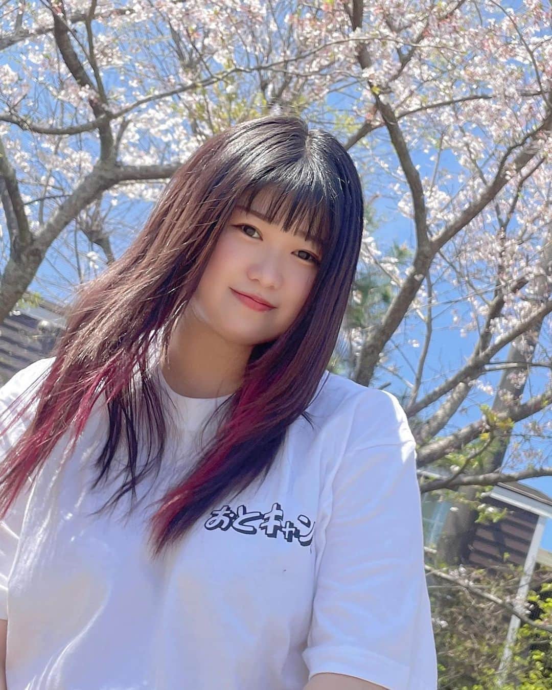 広瀬彩海さんのインスタグラム写真 - (広瀬彩海Instagram)「次の桜が咲いたら もう会えなくなっているんでしょう 寒さを凌ぐだけでいい 冬のままでいて  っていい歌詞だよね（自画自賛） 桜が咲いて新しい環境に身を置いたら 君はもう私のことなんか気にも留めてくれなくなるんだろうから、 新しい出会いの少ない、寒くて人肌恋しい季節にすがりたいんですねえきっと、、、  オリジナルの桜っていう曲の一節です。 よかったら4月23日聴きに来てね...🌸  #se4through ライブのタグこれにします🩵」4月11日 0時04分 - ayaka__hirose