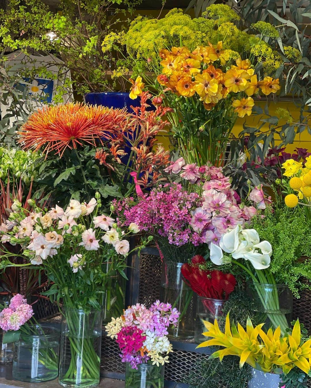 木本泉さんのインスタグラム写真 - (木本泉Instagram)「- お花💐を買いに。  今回はピンク系で作っていただきました💕  お家に生花があるとフッと目に入った時にほっとリラックスできる✨  #allgoodflowers#sharegreenminamiaoyama#flower#お花#春」4月11日 0時29分 - izumikimoto