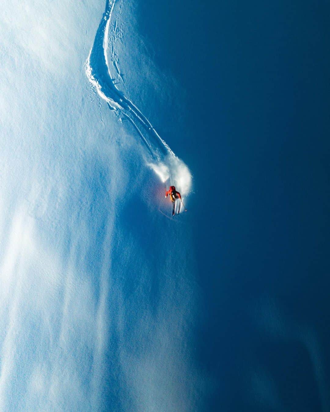 Alex Strohlのインスタグラム：「Clair obscur courtesy of the Colorado sunshine」