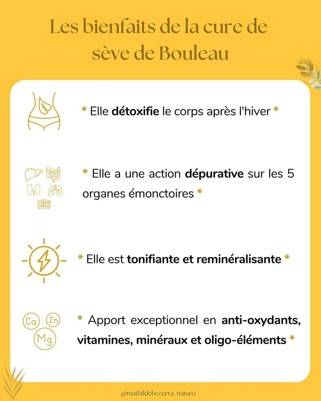 マチルド・ベセーラさんのインスタグラム写真 - (マチルド・ベセーラInstagram)「C'est le printemps 🌼! Et quelle meilleure période pour se lancer dans une petite détox pour s'alléger des toxines accumulées pendant l'hiver 😉  🌿 La sève de Bouleau est juste parfaite pour ça !  ➡️ Elle détoxifie le corps en profondeur ET en douceur 👌🏼  ➡️ Elle ne fatigue pas l'organisme, au contraire, elle le revitalise et le reminéralise grâce à sa richesse en anti-oxydants, vitamines et minéraux 🤩🥳  ➕ Elle permet aussi de lutter contre les douleurs inflammatoires, de stimuler l'élimination du cholestérol, de favoriser la perte de poids, de booster le système immunitaire, de réparer la peau ... bref que des avantages ! 👍🏼  ⚠️ Choisir un produit de qualité, une sève 100% pure, biologique et non pasteurisée.  * Prendre 15cl (cure de 3L) ou 25cl (cure de 5L) tous les matins à jeûn pendant 3 semaines. La conserver au frigo ! *  #curedetox #printemps #naturopathie #naturopathe #detox #sevedebouleau #alleger #detoxifier #medecinedouce #santenaturelle」4月11日 3時13分 - mathildebecerra