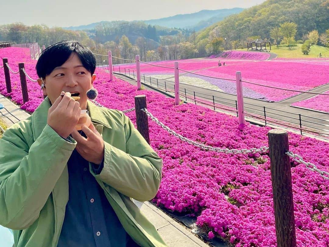 依田司さんのインスタグラム写真 - (依田司Instagram)「4月11日（火） 栃木県市貝町「芝ざくら公園」から。 赤・ピンク・紫・白の４色の芝桜。その数、およそ２０万株が咲き誇っています。 今年は、各地で桜の開花が早かったように コチラの芝桜も、例年より一週間早く、満開となりました。長さ300mもあり、町を流れる「小貝川」をイメージして雄大に植えられています。 そして、花より団子の方も大満足。 お蕎麦は、地元産を毎朝手打ちした逸品。間違いのないコシとツルッとした喉越し、筍ご飯は味が濃くシャキッとした食感も最高。また、お蕎麦のデザートは初めての味。これで1200円とコスパ最強。シメはご当地キャラ「サッちゃん」のサッちゃんぷりん。とぅるっと食感でなめらか。お腹を空かせてお越しください。  #市貝町芝ざくら公園 #依田さん #依田司 #お天気検定 #テレビ朝日 #グッドモーニング #気象予報士 #お天気キャスター #森林インストラクター #グリーンセイバーアドバンス #プロジェクトワイルド #IPCC伝導者 #japan #japantrip #japantravel #unknownjapan #japanAdvenそture #japanlife #lifeinjapan #instagramjapan #instajapan #療癒 #ilovejapan #weather #weathercaster #weatherforecast」4月11日 8時53分 - tsukasa_yoda