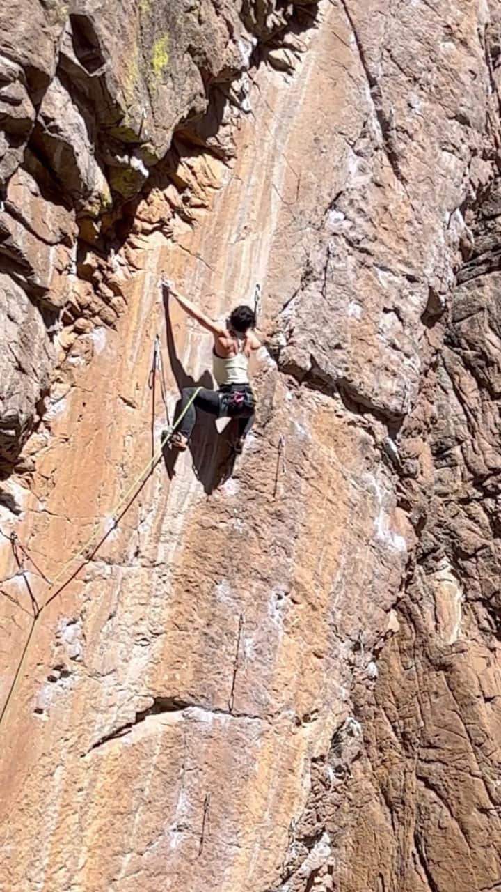 ニーナ・ウィリアムズのインスタグラム：「Papadarius 14a - my fourth of the grade and what felt like second hardest after Zulu. I had to finagle some truly short-person / small-box beta shenanigans throughout this climb, particularly the red point crux shown here. Couldn’t do the iron-cross span so I iron-rosed instead 🥀 Felt myself start to lose steam at the top… the inner voice saying, “you’re too pumped, you’re going to fall” and starting to imagine myself falling but I stared daggers at the next hold, threw for it, and drowned out the doubt with a try-hard scream. Sharp focus won out in the end 🗡️   I was so fcking frustrated with my (what felt like) slow progress on Papadarius but some things can’t be rushed. I never regressed; I learned a little bit every time. I did what I could in the moment and let everything else - things I couldn’t control - fade away. Relatively, Papa didn’t take me a super long time but it did feel emotionally drawn out.  Psyched to finish Papa in the midst of training for my upcoming Rumney trip. Shoutout to my belay team @tchenrock @madaleinesorkin @tiny_brit_tiny @neodude Andrew, Def, and everyone at the River Wall cheering me on. Proud of us for braving the heinous winds this season!! 😂  Thank U, Next 😌😉  @thenorthface @thenorthface_climb @scarpana @blackdiamond @organicclimbing #climbing #sportclimbing」