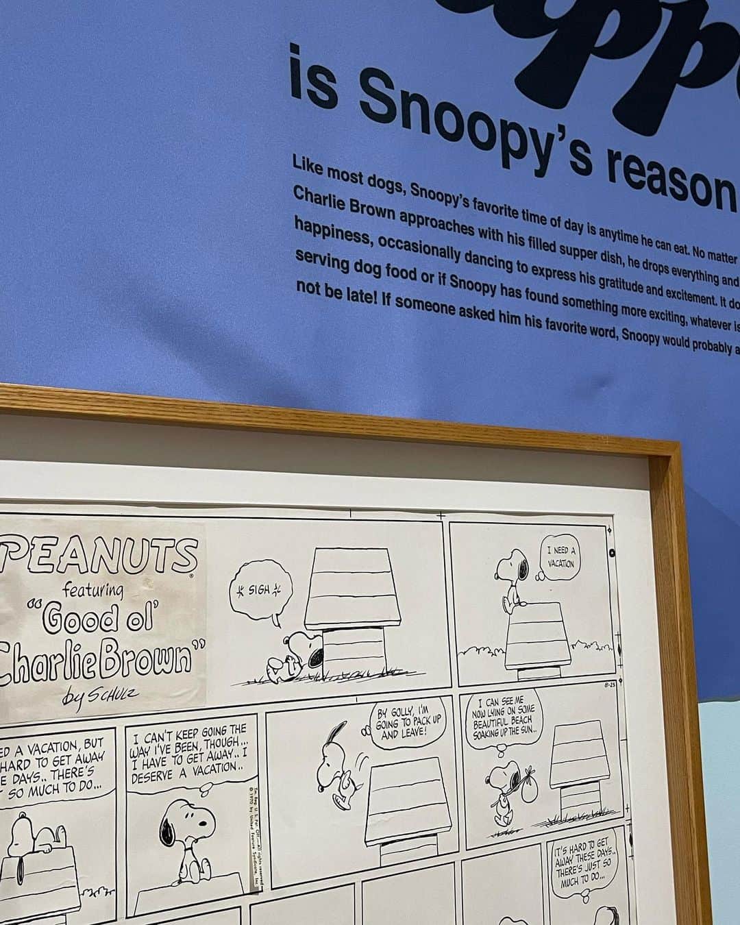 中谷愛のグルメインスタ