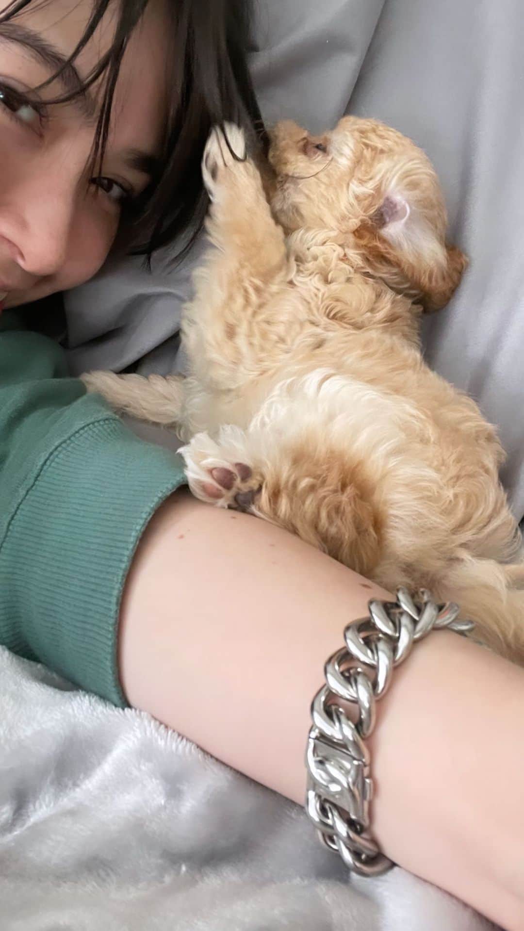 ダンシーシャノン美沙のインスタグラム：「Life ✨💜🐶🌈  顔🤣」