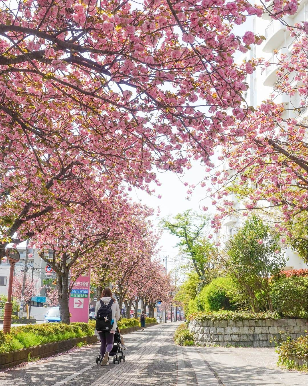 平塚市のインスタグラム