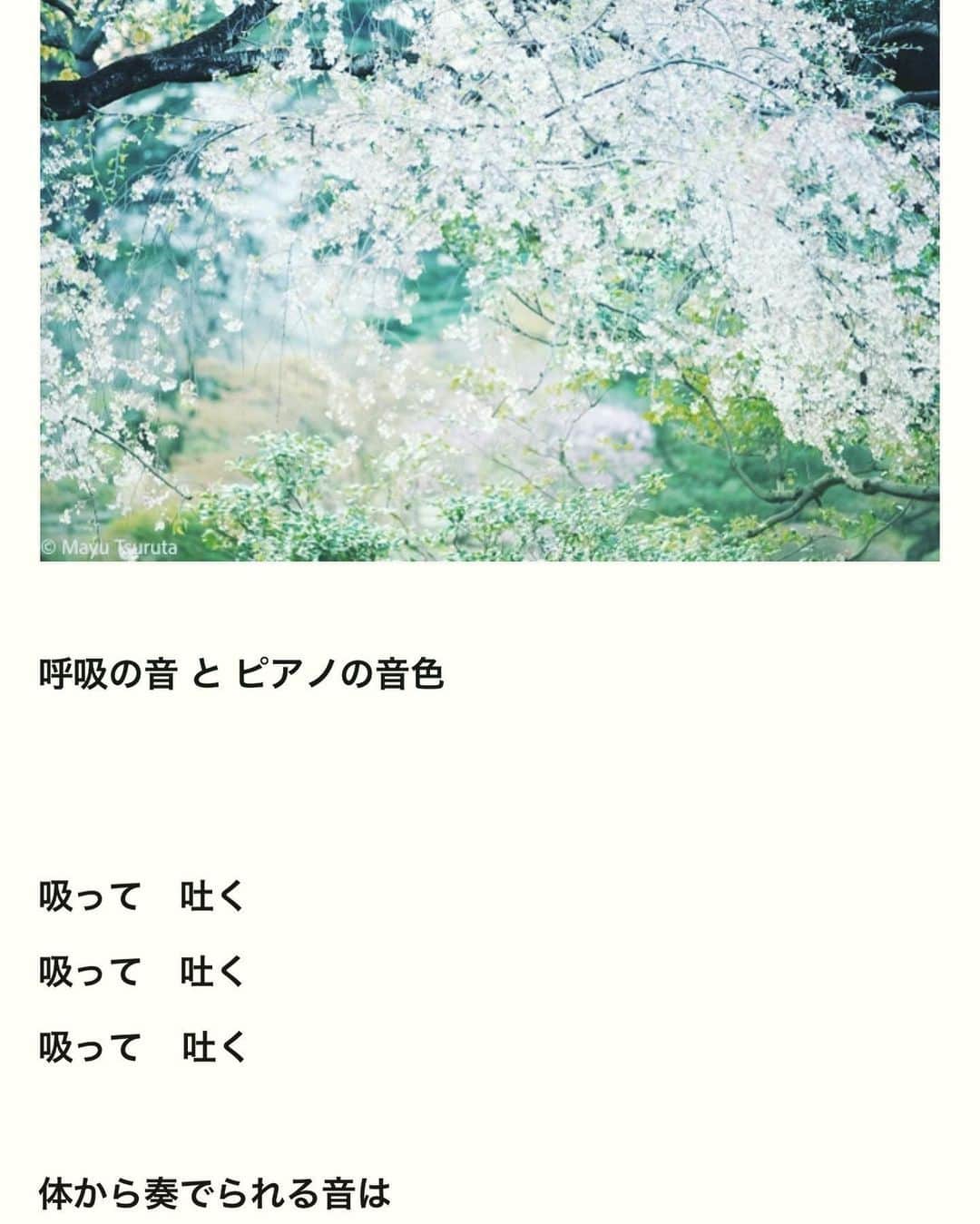 鶴田真由のインスタグラム：「坂本龍一さんへの追悼文をnoteに書きました。 今回は無料で読めるようにしました。 よかったら読んで下さい。」