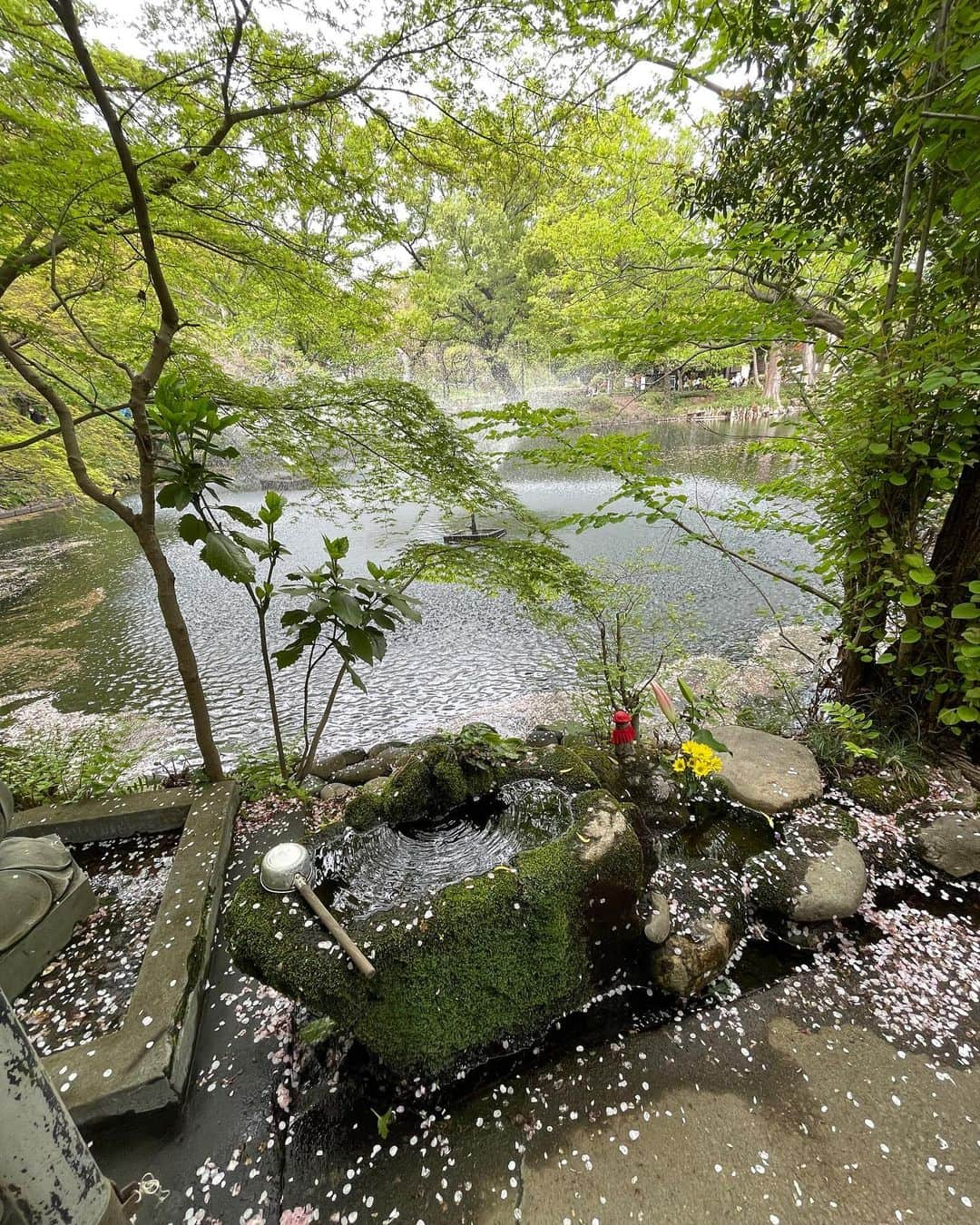 此ノ木よしるさんのインスタグラム写真 - (此ノ木よしるInstagram)「🦢 中野ブロードウェイ4階にある、変やの入口は 京都の伏見稲荷をイメージしてるのかな ここはいつも海外の方に人気  #無属性ぬいぐるみ #无属性ぬいぐるみ #棉花娃娃 #人形 #中野 #吉祥寺  #中野ブロードウェイ #井の頭公園 #スワンボート」4月11日 17時34分 - y_konogi