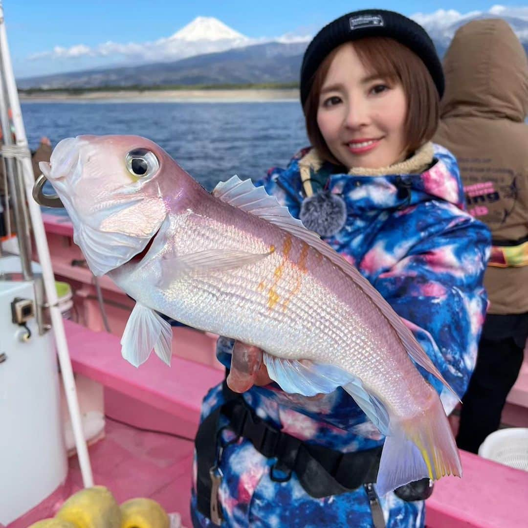 井上直美さんのインスタグラム写真 - (井上直美Instagram)「今夜4月11日23時〜チバテレ「ワイワイ釣らせてもらいます！」は、静岡県駿河湾でアマダイ釣り。料亭などで出されている超高級魚アマダイ！みんなでワイワイ釣って食べる事は出来たのか？ 放送時間帯も早くなり見やすくなりました。是非ご覧下さい。  🐟タックルデータ🐟 ロッド♡アルファタックル アルファソニック PG73 210MH リール♡テイルウォーク エランSW DENDO 150  　#ワイ釣り　#アマダイ　#幸松丸　#イザカヤカフェYORIMICHI  #ワイワイ釣らせてもらいます！　#チバテレ　#釣り番組　#バラエティ番組  #釣り好き」4月11日 17時42分 - naochingyo