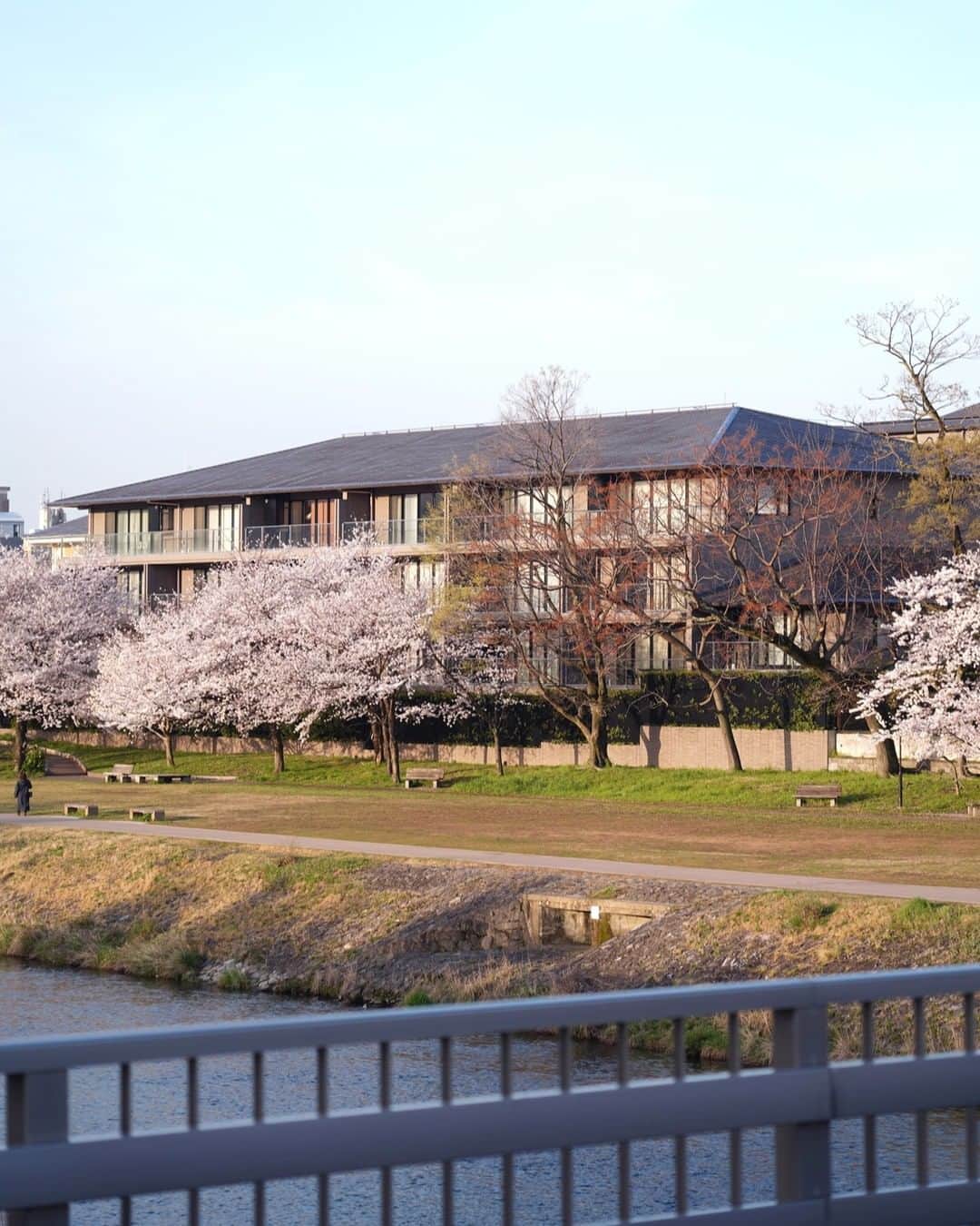 三菱地所レジデンスさんのインスタグラム写真 - (三菱地所レジデンスInstagram)「御所の東、鴨川のほとり、対岸には東山を望む場所。窓を開けるとそこには、満開の桜で彩られる美しい鴨川の景色が広がります。  京都の美しい四季を特等席で堪能できるレジデンスです。  写真「ザ・パークハウス 京都鴨川御所東」（当社分譲済）と現地周辺  三菱地所レジデンスは 「暮らしに、いつも新しいよろこびを」 をコンセプトに住まいを考えていきます。 ザ・パークハウスの物件はプロフィール （ @the_parkhouse ）のURLから！  三菱地所レジデンスはTwitterでも発信しています。 （ @the_parkhouse ）のハイライトから！  #三菱地所レジデンス #ザパークハウス #パークハウス #暮らしにいつも新しいよろこびを #京都 #鴨川 #京都御所 #丸太町 #河原町 #お花見 #桜 #鴨川花見」4月11日 17時47分 - the_parkhouse