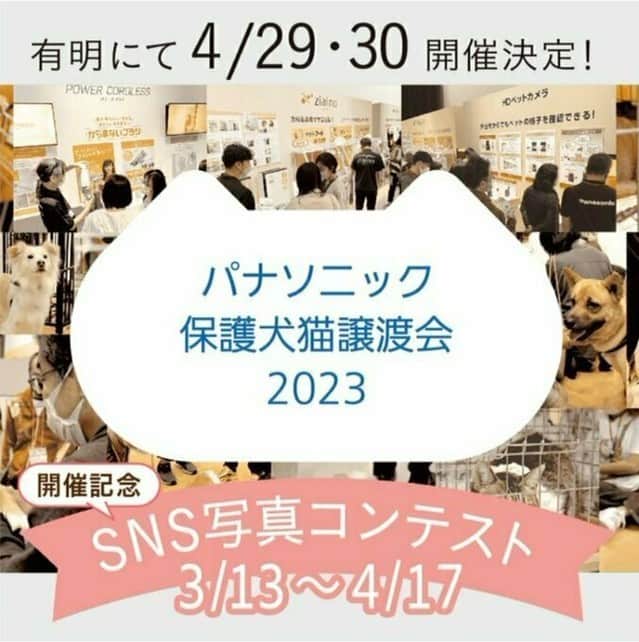 sippoのインスタグラム