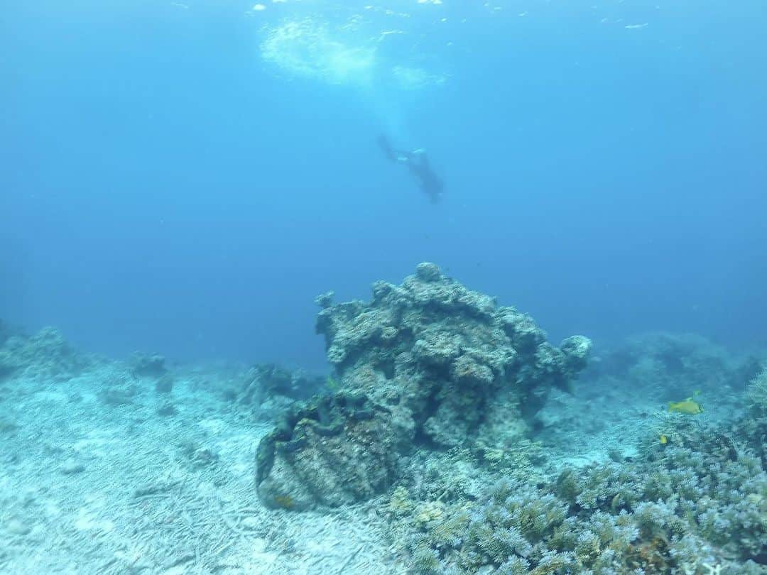 堀江貴文のインスタグラム：「#palau #shark #freediving #10mくらいフリーダイビングできるようになった」