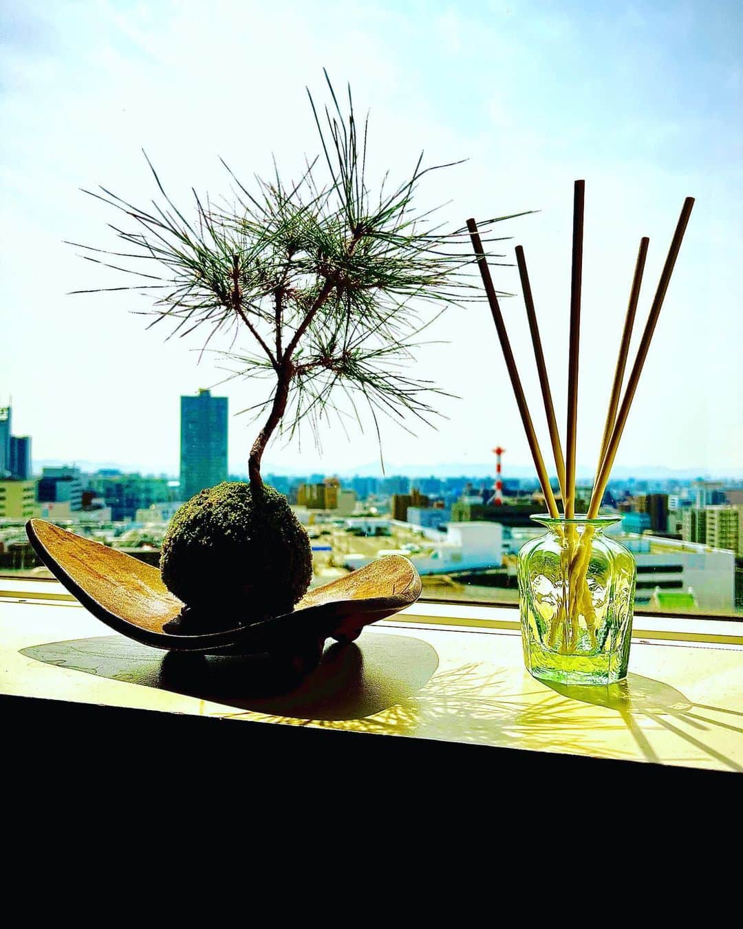 世良公則のインスタグラム：「・・・・・・  良き日  ・・・・・・  #世良公則 #masanorisera #japaneseartist #japaneseculture #view」