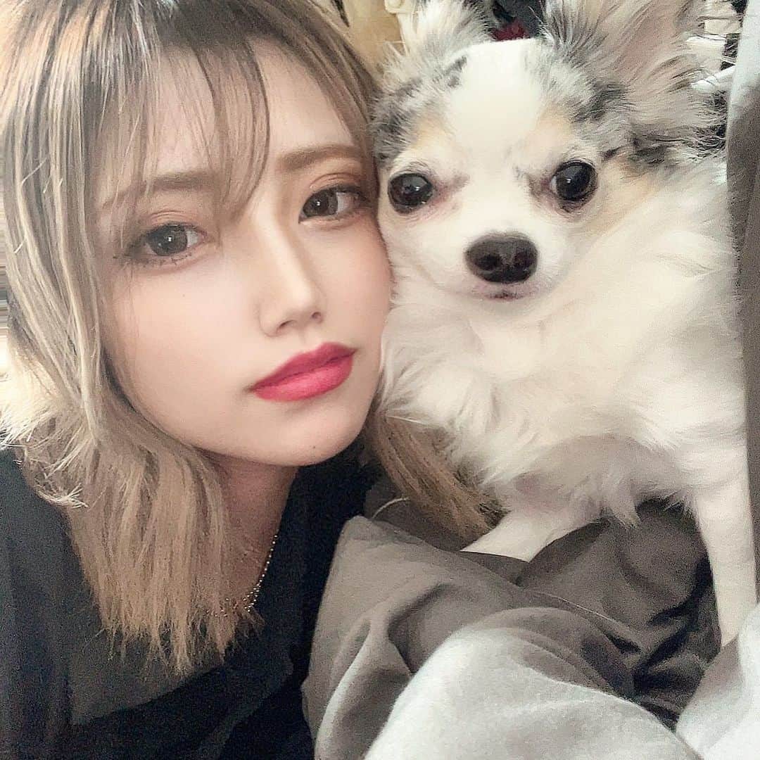 じゅりあのインスタグラム：「◀︎Follow me . . えっと なんかごめん🫤💔 顔…伸びちゃってるね… . まぁでもイケメンだぉ🥺💕 . .  #photooftheday #instagood #bestoftheday #l4l #f4f #model #fashion #beauty #ootd #instastyle #Followme #Followback #influencer #happiness #フォロー返し #インスタ映え #インスタグラマー #名古屋 #ファッション #おしゃれさんと繋がりたい #今日のコーデ #モデル #充実 #幸せ #かわいい #最高 #インフルエンサー」