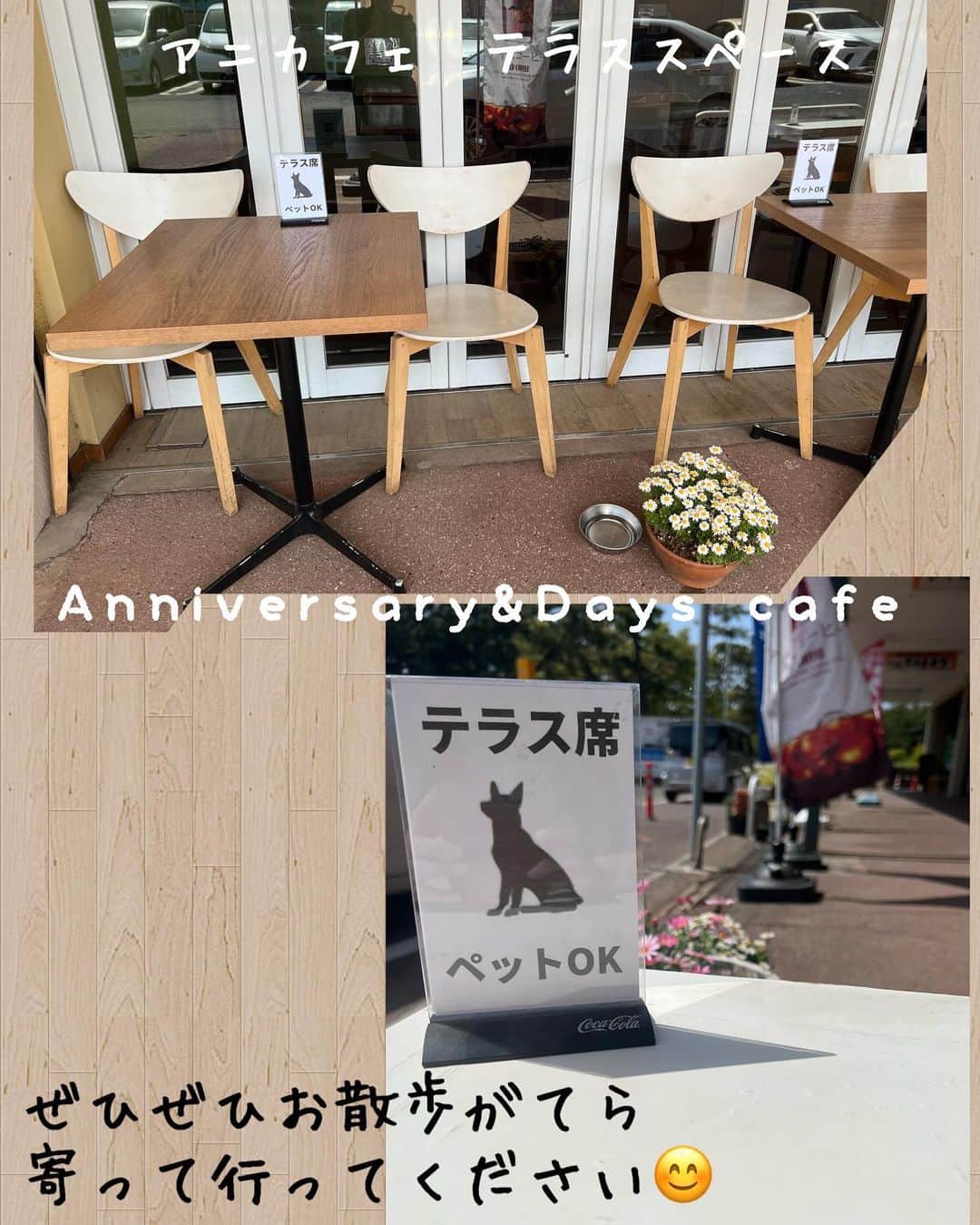 のインスタグラム：「こんにちは😃 今日は、近隣の小学校の入学式があり、もうそんな季節なんだなぁとしみじみ感じております。  最近日中は、だいぶ暖かくなり、カフェのテラス席が気持ちがよくて、おすすめです😊 テラス席は、ペットOKですので、ワンちゃんのお散歩がてら、ぜひぜひお立ち寄りください🐶　 ご来店いただいたワンちゃんを撮影させていただきたいので、 お声かけさせて頂く場合がございます。大丈夫でしたら、ご協力いただけますと嬉しいです😊  ワンちゃんのお水ご入用の方は、スタッフへお声かけくださいませ😊  アニカフェでは、いつものカフェメニューのほかに、 スタッフおすすめ✨ カフェでちょっと一息メニューの ミニデザートセット🍮(コーヒー☕️もしくは紅茶付き)  550円  午後15時からのアペリチェーナ(おつまみセット　ビール付き🍺)1350円  も、ご用意いたしております♪  #カフェ #千葉市美浜区 #ペットOK #ペット可 #カフェペット可 #お散歩 #ミニデザートセット #アペリチェーナ」