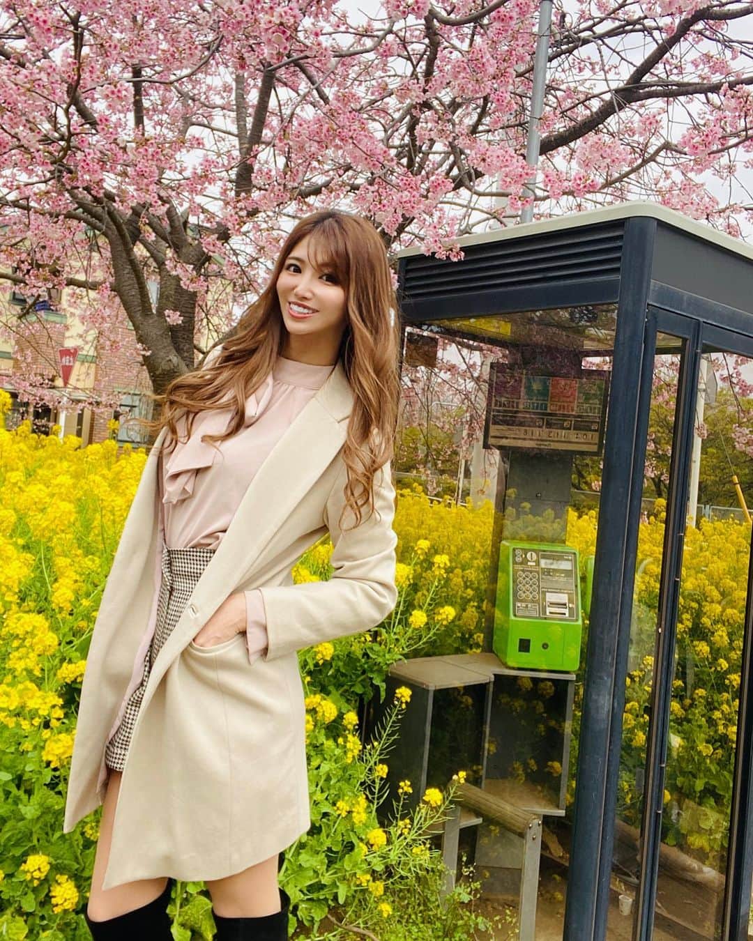 のインスタグラム：「なぜか電話BOXの前で撮ってた写真📸✨ ＊ ＊ せっかく三浦海岸の桜まつりに行ったのに、開花宣言前だったからほぼこの桜しか咲いてなくて、みんなでマグロ食べて帰った日😂笑  #三浦海岸 #三浦海岸桜まつり #桜 #お花見 #菜の花 #電話BOX #三崎まぐろ」