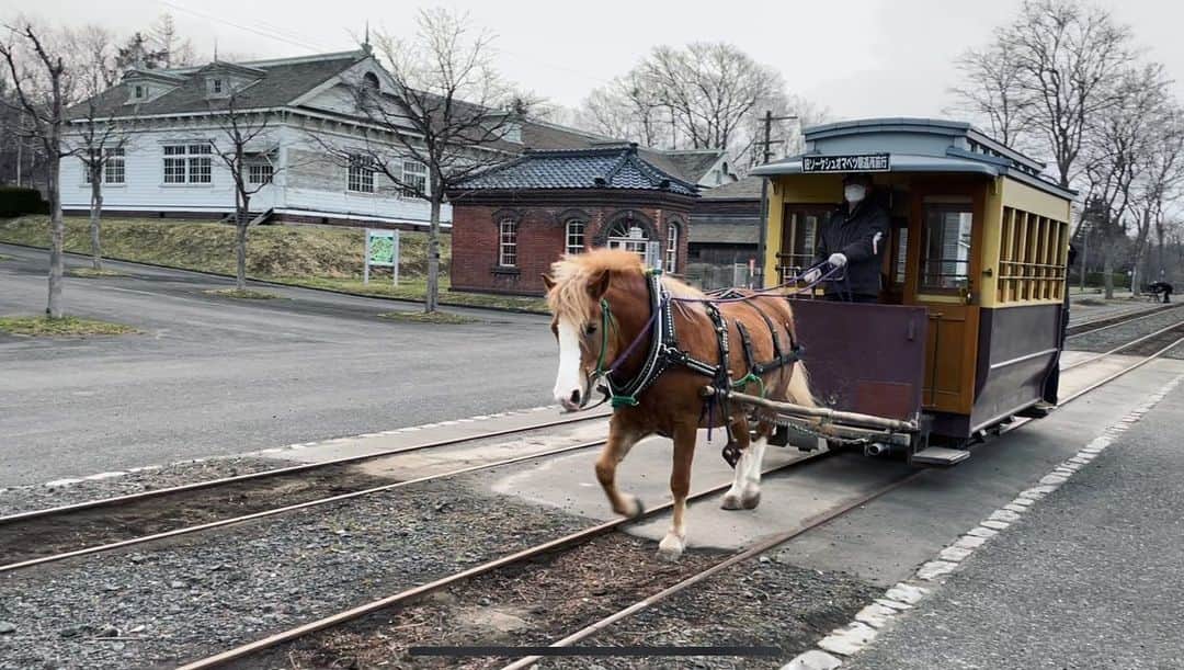 堀内大輝さんのインスタグラム写真 - (堀内大輝Instagram)「.  🔸THE TIME,中継🔸  札幌の中心部から車で40分、「北海道開拓の村」 明治、大正、昭和初期の 北海道の暮らしを感じられる野外博物館です。  そこにあるのが、 馬が客車を引き線路を走る「馬車鉄道」です。 今では珍しく、現役で走っているのは 全国でも貴重なんだそう。 明治・大正時代、建築などに使う石を 市街地に運ぶ手段として活躍していました。 この馬車鉄道は、 市電のもとになったといわれています。  600メートルの線路を、 馬車に乗りゆったりと進んでいきます。 わずか数分ではありますが、 春の風を感じ、レトロな街並みを 眺めるひとときは贅沢な時間。  馬車から見える理髪店、銀行などの建物は、 人気漫画「ゴールデンカムイ」に登場するものも！ ファンにとっての聖地としての人気も高い場所です！  今シーズンの営業は11月まで。 ぜひ、一度味わってみてください！  #馬車 #馬車鉄道 #鉄道 #北海道開拓の村 #ゴールデンカムイ #聖地 #聖地巡礼 #札幌 #北海道 #アナウンサー #thetime_tbs @thetime_tbs」4月11日 12時45分 - hbc_daikihoriuchi