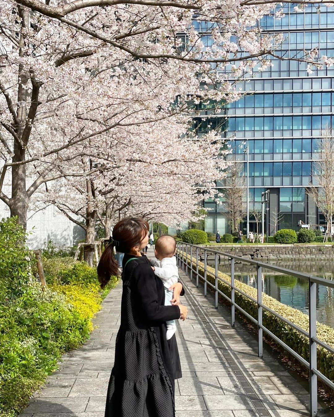福山唯さんのインスタグラム写真 - (福山唯Instagram)「今年の桜は最後🥹🌸🌸 息子とたくさん見られて幸せだったなぁ💗💗  桜のロイヤルミルクティーが美味しすぎて、またすぐに飲みに行きました🌸🤣✨来年もあるといーな🫶  1人で座って遊ぶのが上手になりました♡   #cherryblossom #spring #palacehotel #milktea #桜 #桜ロイヤルミルクティー　#パレスホテル東京 #ママとぼーや　#幸せな時間　❤️」4月11日 18時19分 - yuifukuyama