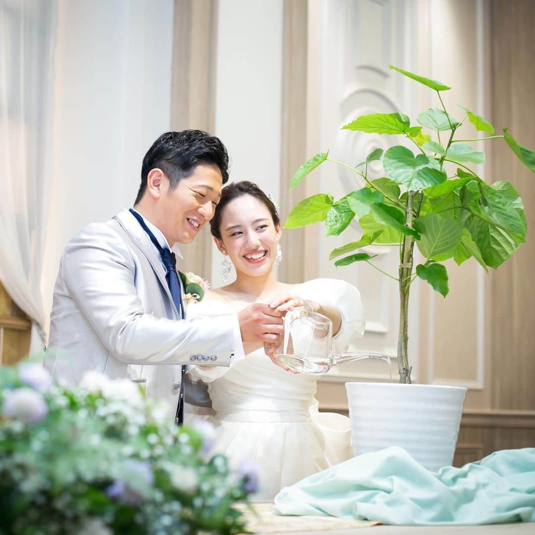 のインスタグラム：「植樹セレモニー🌲  植樹セレモニーとはご新郎ご新婦のおふたりが木に水を注ぐ演出のこと🫧  日本ではまだなじみがない演出ですが、実は世界中の結婚式で定番のセレモニーです🌿  ケーキセレモニーの代わりに取り入れる方が多く、目新しい演出をしたい！という方におすすめです✨  おふたりが水を注ぐだけでなく、あらかじめ受付スペースなどでゲストに土を入れてもらうことで、みんなで作り上げる一体感の生まれる演出にすることも出来ますよ💕  木は子孫繁栄や家族の幸せを願う象徴です🕊  木の種類によって、木の花言葉が異なるため好きな言葉でおふたりの木の種類を選ぶのもおすすめ🍃  おすすめの木の種類からおふたりらしい木を探してみてくださいね👀  ◇オリーブ 「平和」「知恵」  ◇ガジュマル 「たくさんの幸せ」「健康」  ◇ローズマリー 「変わらぬ愛」「誠実」  ◇レモン 「誠実な愛」「心からの思慕（相手を恋しく感じ慕うこと）」  ◇ウンベラータ 「永久の幸せ」「夫婦愛」  📷post by @anniversaire_nagano * * * ＼結婚式のお写真を募集中／ * アニスタグラムに参加してプレゼントを貰おう🎁！ * 参加には下記の①〜③ を付けてお写真を投稿してください💕 詳細は @anniversaire_officialのプロフィールURL『アニスタグラムキャンペーン』でもチェックできます✨ * ① #アニスタグラム ② @anniversaire_official ③3つのうち写真にあうハッシュタグ #結婚式 #ファミリーウェディング #フォトウェディング * * 皆様のお写真を楽しみにしております˚✧˳✧༚ * * * #植樹の儀 #植樹セレモニー #植樹式 #treeplantingceremony #weddingtree #オリーブセレモニー #ゲスト参加型 #ゲスト参加型演出 #人前式演出 #披露宴演出 #長野結婚式場 #長野市結婚式場 #長野花嫁 #ブライダルフェア #結婚式場見学 #プレ花嫁 #プレ花嫁準備 #アニ嫁 #アニヴェルセル #アニヴェルセル長野」