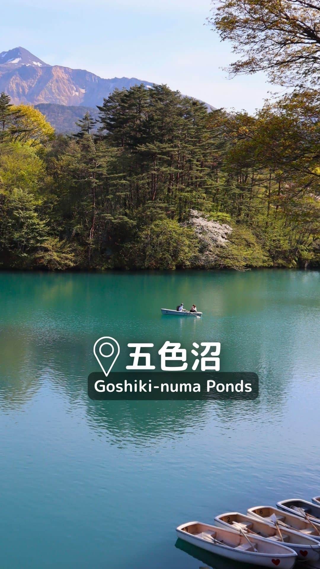 Rediscover Fukushimaのインスタグラム：「A trip to Japan’s mystical Goshiki-numa Ponds is certainly one you won’t forget! 🤩  🙋🌿What are the Goshiki-numa Ponds?🌿  The Goshiki-numa ponds are a group of ponds and lakes at the foot of Mt. Bandai in the northeastern part of Fukushima Prefecture, Japan.  These ponds were formed after a volcanic eruption and they are known for their changing colors due to mineral variations in the soil. 🌋  🙋🌿How do I get to the Goshiki-numa Ponds?🌿  You can get there by car (recommended) or by public transportation.  🚗By car: 30 min drive from Inawashiro Bandaikogen I.C. exit off the Ban-etsu Expressway.  🚆By public transportation: Take the JR Ban-etsu West Line to Inawashiro Station. From there, take the Bandai Toto Bus bound for Urabandai Kogen-eki, and get off at Goshikinuma Iriguchi bus stop (五色沼入口バス停). The bus takes 35 min to reach the Goshiki-numa Ponds.  🙋🌿What can you do at the Goshiki-numa Ponds?🌿  🥾HIKING: The main hiking trail (3.6 km) is beginner-friendly and takes you along the main ponds.  🚣PADDLING: Rent a boat and explore the volcanic waters up close.  🍦RELAXING: Sit down with a coffee or ice-cream at the food stand there and just take in the views and the fresh air.  ℹ️For more information, check out our posts about the Goshiki-numa Ponds (link in our stories)! If you have any questions, please let us know in the comments.  🔖Don’t forget to save this post for your next visit! Are you visiting the ponds this year?  #goshikinuma #urabandai #japan #visitjapanjp #tohoku #springinjapan #summerinjapan #instagood #instatravel #beautifuldestinations #beautiful #japantravel #japantrip #goshikinumaponds #fukushima #visitfukushima #japão #japan #japanese #福岛 #日本旅游 #ญี่ปุ่น #เที่ยวญี่ปุ่น #五色沼 #福島観光」