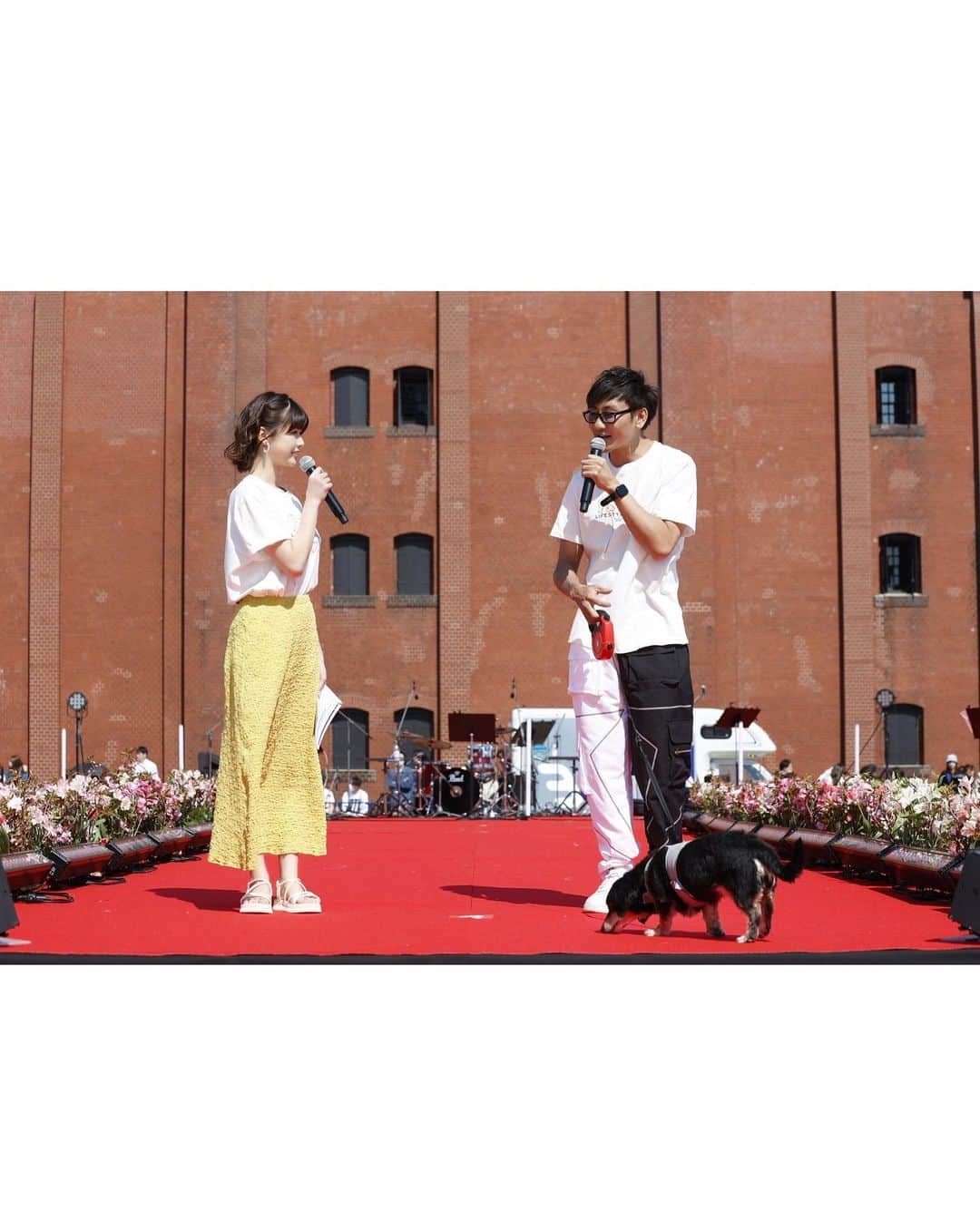 冴木柚葉さんのインスタグラム写真 - (冴木柚葉Instagram)「. 【LIFESTYLE with DOGS🐶】 遅くなりましたが ...
