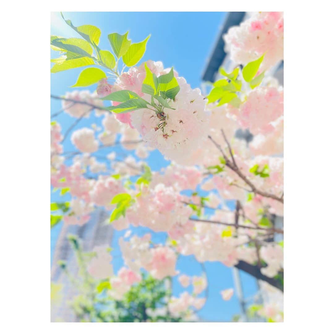 笹峯愛のインスタグラム