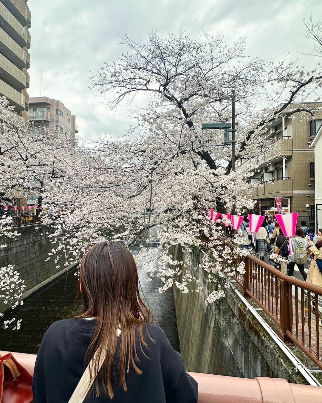 森下真依さんのインスタグラム写真 - (森下真依Instagram)「目黒川の桜見に行ってきたー🌸  #目黒川 #目黒川の桜」4月11日 15時36分 - maimai___63