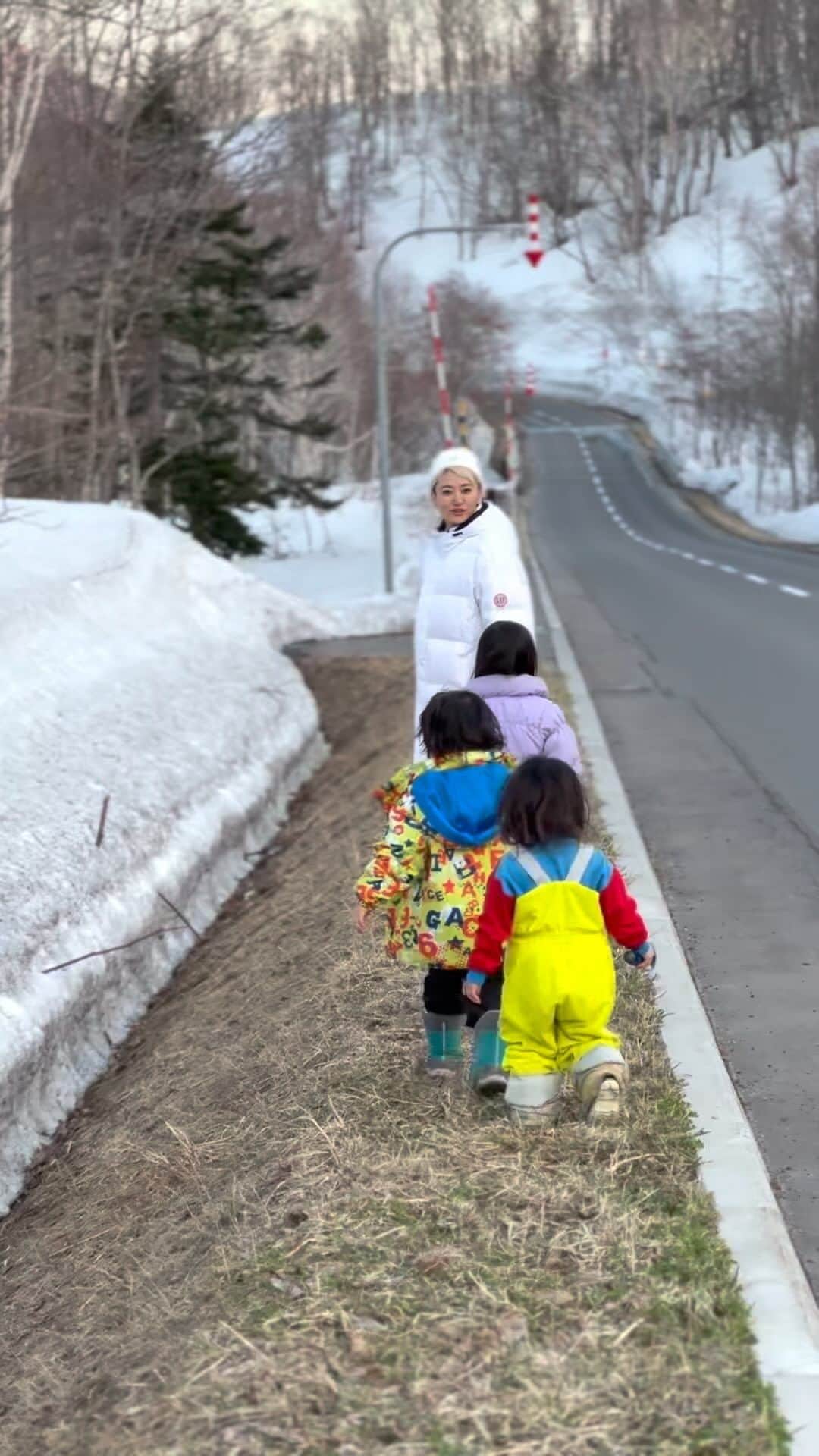 のインスタグラム：「カルガモの親子みたい🥹🥹🫶💕🦆  春の山菜が大好きすぎて、子どもたちと宝探ししよう！って 一緒にふきのとうをとりに行ってるところ🥹💓  @hikari6152 ちゃんのお子たちがピュアで可愛いすぎて、  「お花咲いてるやつはダメで、緑の蕾の綺麗なやつをみつけるんだよ〜」とか「外側の茶色いのは剥がして水洗いするんだよ〜」とかやったら  一緒にお手伝いしてくれて可愛いすぎた🥺🥺🥹💕  道路はクルマ来るから右と左ちゃんと確認してね〜って言ったら 声出してやってて可愛すぎる🥺💓  蟹座の母性10000%放出された🥺❣️なんと可愛いのや、、子どもは5人ほしいな🥺💓  今回のふきのとうはふきのとう味噌に🍃  東京のど真ん中にいると、都会と田舎の大自然どっちも良さがあって、もちろんどちらも良いんだけど、  大自然は、景色や自然の恵み、この日のこの一瞬を焼き付ける夕暮れ、 降り注ぐような輝く星。ピュアに生きるエネルギー。  ただそこにあることの幸せを有難く感じられるので好きです🥺❣️  #tb #niseko #kids #children  #love」