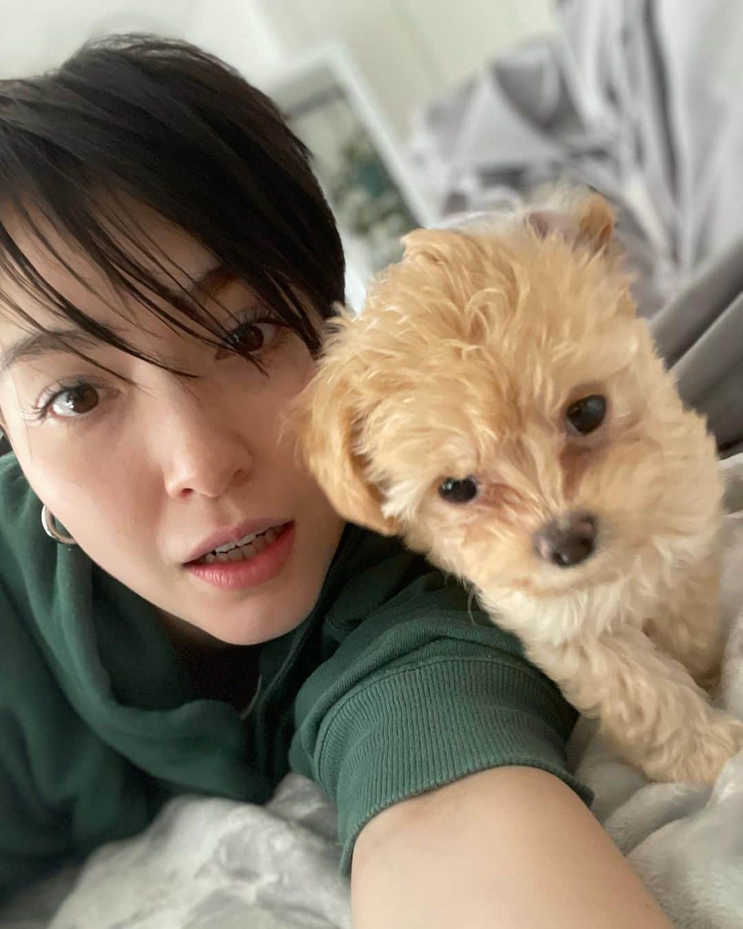 ダンシーシャノン美沙のインスタグラム：「シャノンの娘になりましたSun(サン)です宜しくね🐶✨✨  １月２３日生まれの チワワ✖︎トイプードル ミックスちゃん ４月５日に迎えました🐶✨✨  まだ700gのベイビーなので ご飯を食べて遊んでうんちしたら 寝ます☺️  この2ヶ月間ずっとみていたエンジェルナンバーが123だった。そしたらこの子の誕生日も123で運命感じて気づいたらうちにいます🥲😍  これから一緒にいっぱいお出かけして たくさん思い出作ろうね🕊🌈  #子犬 #愛犬 #チワプー」