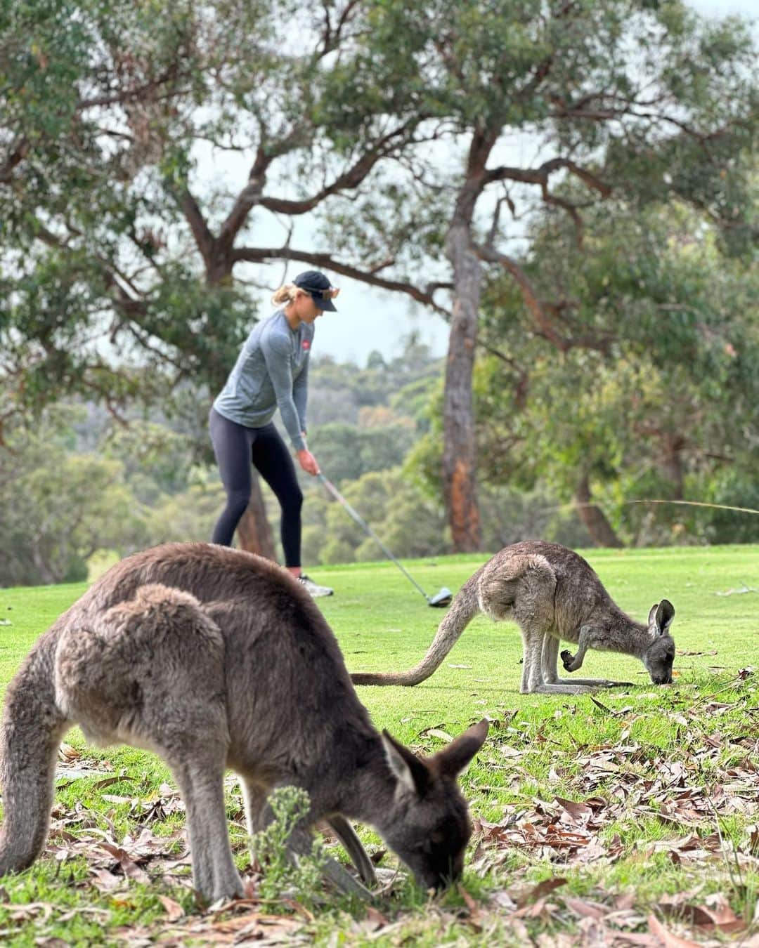 レイキー・ピーターソンのインスタグラム：「A busy day on the golf course 🦘 🦘 🦘 😜」