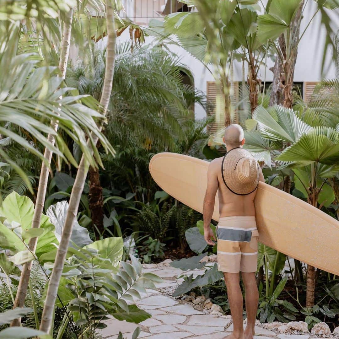 PicLab™ Sayingsさんのインスタグラム写真 - (PicLab™ SayingsInstagram)「Step inside Sendero, Costa Rica’s new surf school spot. 🏄‍♂️ 🌴 It is no secret that Costa Rica holds some of the most world-renown surfing spots on the planet. A new beach front hotel specializing in surfing lessons has just opened in the region's prime location, the Nosara district. Built as a sustainable, boutique property that blends traditional Costa Rican architecture with modern design, Sendero is aiming to create a haven for travelers looking to find the meaning of Pura Vida. You can check out the full story now live in our link in bio! 🔗」4月12日 1時56分 - paradise