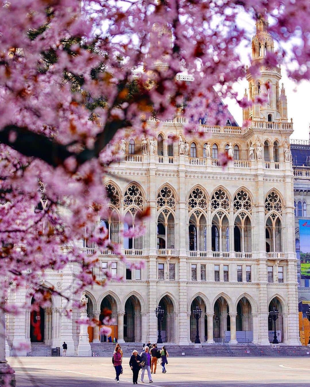 Wien | Viennaさんのインスタグラム写真 - (Wien | ViennaInstagram)「5 amazing photos by @_marekzelko_ of #Vienna. Choose your favourite one! 👇🌸 #ViennaNow   #vienna #wien #vienna_austria #vienna_city #visitvienna #viennagram #wienliebe #feelaustria #spring #frühling #springday」4月12日 1時56分 - viennatouristboard