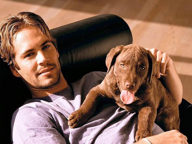 ポール・ウォーカーのインスタグラム：「“Animals are a window to your soul and a doorway to your spiritual destiny.” - Kim Shotola  #NationalPetDay #TeamPW」