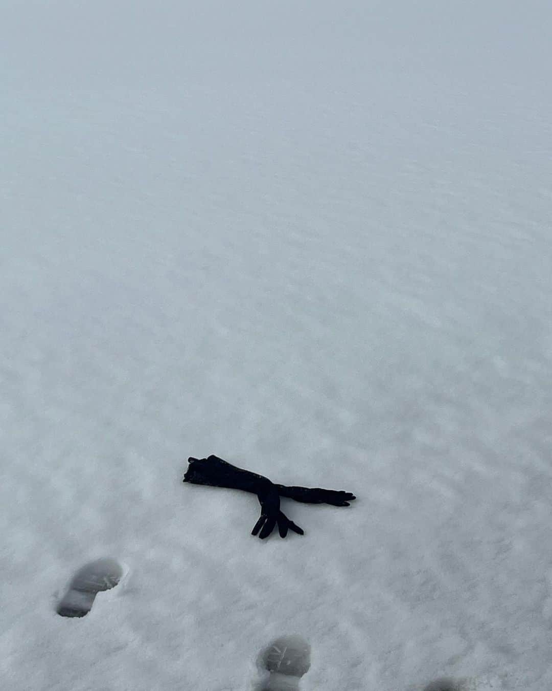 eillさんのインスタグラム写真 - (eillInstagram)「友が撮ってくれたステキな写真達をやっと投稿しました❄️(連投失礼ｼﾏｼﾀ)  一気に更新しないでこまめにしなよ〜と思いつつSNSはやっぱり少し苦手なわたしです🙉 　 季節は春を迎えましたね〜 時の流れと一緒に汗汗(⌒-⌒; )と走るのではなく最近は自分のペースで呼吸しながらゆっくり歩くのが好きです。汗汗するのも嫌いじゃないのよ。  でも、頑張りすぎる時だけじゃ、本当の魅力に気づけないこともあると思います。  サボる時は上手にサボろ〜わら 人生はきっとメリハリなのだ〜と思っている4月のはじまり。  冬はまたすぐだな〜〜きっと🤧  Big love   with @yumijaga 🫶」4月12日 2時00分 - _eill_