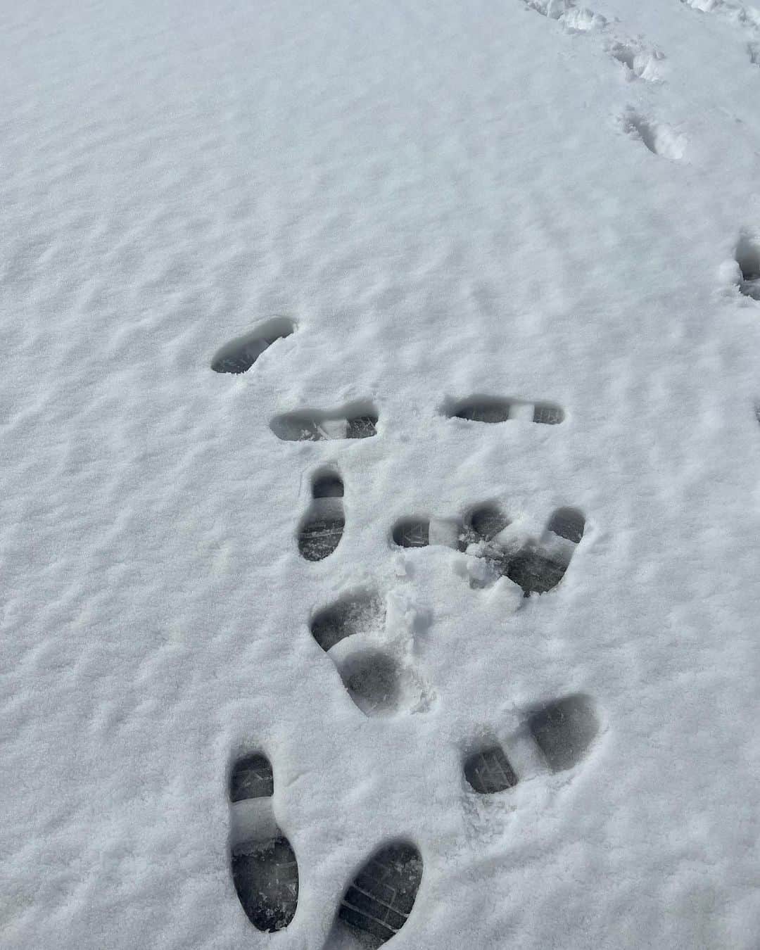 eillさんのインスタグラム写真 - (eillInstagram)「友が撮ってくれたステキな写真達をやっと投稿しました❄️(連投失礼ｼﾏｼﾀ)  一気に更新しないでこまめにしなよ〜と思いつつSNSはやっぱり少し苦手なわたしです🙉 　 季節は春を迎えましたね〜 時の流れと一緒に汗汗(⌒-⌒; )と走るのではなく最近は自分のペースで呼吸しながらゆっくり歩くのが好きです。汗汗するのも嫌いじゃないのよ。  でも、頑張りすぎる時だけじゃ、本当の魅力に気づけないこともあると思います。  サボる時は上手にサボろ〜わら 人生はきっとメリハリなのだ〜と思っている4月のはじまり。  冬はまたすぐだな〜〜きっと🤧  Big love   with @yumijaga 🫶」4月12日 2時00分 - _eill_