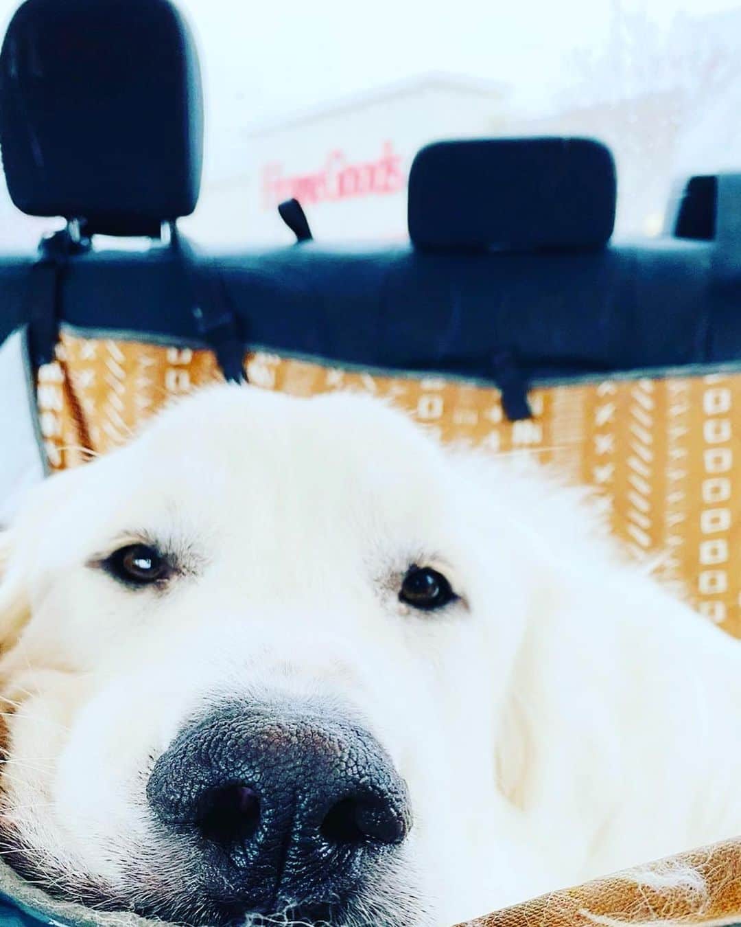 HomeGoodsのインスタグラム