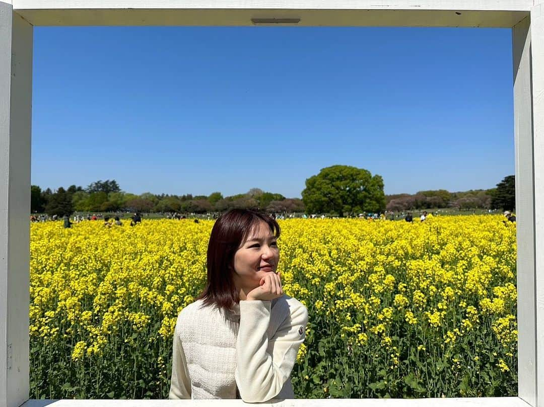 桜帆ゆかりさんのインスタグラム写真 - (桜帆ゆかりInstagram)「🌷🌷🌷🌷🌷  4月始まりましたね〜 快適なお天気の日が多くて桜や菜の花などのお花見もおさんぽもできて嬉しい限り…🥹 ありがたいなぁ〜！  そして昭和記念公園のチューリップ、今年も圧巻でした🙈💓 漂うあまーい香りにただ癒されました✨そして外でのご飯のおいしさたるや🥹🍱ピクニック大好き！  4月も元気に過ごしましょう〜♪ オンラインも是非ぜひお待ちしております🧘🏻‍♀️✨  #チューリップ #TULIP #昭和記念公園 #ヨガインストラクター」4月11日 18時48分 - chahoroo93