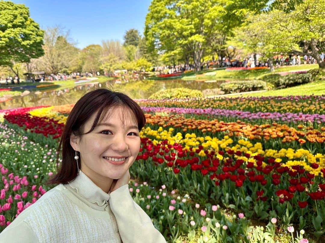 桜帆ゆかりのインスタグラム：「🌷🌷🌷🌷🌷  4月始まりましたね〜 快適なお天気の日が多くて桜や菜の花などのお花見もおさんぽもできて嬉しい限り…🥹 ありがたいなぁ〜！  そして昭和記念公園のチューリップ、今年も圧巻でした🙈💓 漂うあまーい香りにただ癒されました✨そして外でのご飯のおいしさたるや🥹🍱ピクニック大好き！  4月も元気に過ごしましょう〜♪ オンラインも是非ぜひお待ちしております🧘🏻‍♀️✨  #チューリップ #TULIP #昭和記念公園 #ヨガインストラクター」