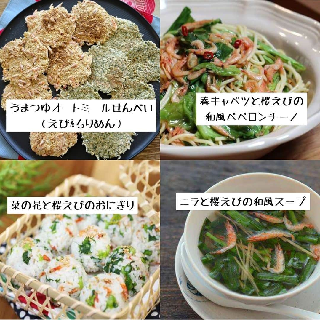 ヤマサ醤油株式会社さんのインスタグラム写真 - (ヤマサ醤油株式会社Instagram)「桜えびを使こなそう♪「桜えびレシピ特集」 https://recipe.yamasa.com/blog/230411y_sakuraebi 「桜えび」は小さな体に栄養がいっぱい☆ お料理の彩りに、また健康維持に、そして何よりも、おいしいからおすすめ！ 「桜えび」を使ったレシピをたくさんご紹介します♪   #自炊 #happyrecipe #foodphotography #ヤマサ #instapic #instagood #ハッピーレシピ部 #delish #instadaily #在宅楽飯 #soysauce #人気 #おうち時間 #jp #テレワーク飯 #instafood #yamasa #おうちごはん #レシピ #ランチ #簡単 #recipe #photooftheday #昼ごはん #yummy #時短メニュー #定番 #桜えび」4月11日 19時00分 - yamasa_soy_sauce