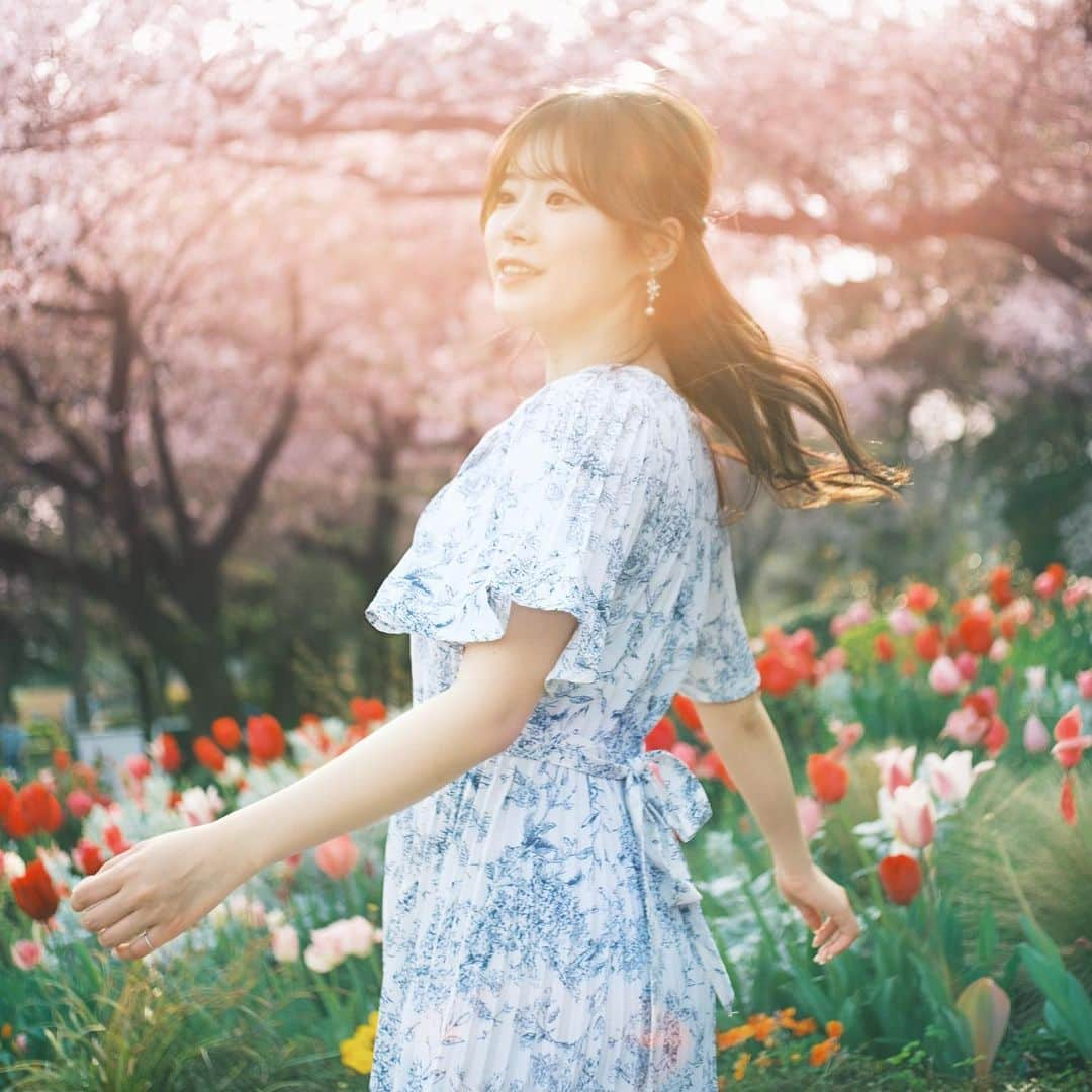 黒川さくらさんのインスタグラム写真 - (黒川さくらInstagram)「春の桜とチューリップ🌷 浮間公園ほイベントのイメージムービーの撮影ついでに、撮っていただきました📸 桜がちょうどひらひらと舞散っていて、チューリップは色鮮やかに咲いていて綺麗でした👼🏻🌸 季節のお花って、なんでこんなに心惹かれるんだろう🫶 . . . . . . . . #浮間公園 #桜ポートレート撮影 #チューリップ🌷 #🌸 #桜スポット #桜ポートレート #桜並木 #チューリップ公園 #桜のある風景  #被写体 #被写体モデル #ポートレート #ポートレート撮影 #ポートレートモデル #カメラ #ファインダー越しのわたしの世界 #girl #instagirl #lovers_nippon_portrait #fff  #team_jp_東 #portraitmodel #portrait #portraitphotography #model #lfl #diary_photo_jpn  #japanesegirl #worldofportraits #instagood」4月11日 19時00分 - amei_oooka.sakura