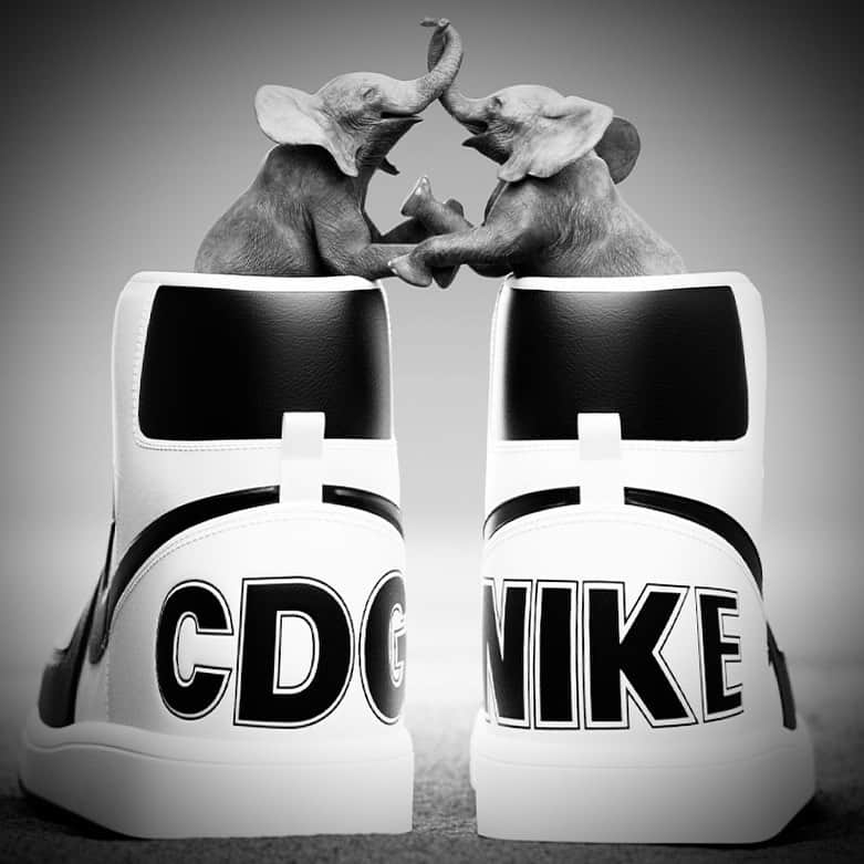 コム・デ・ギャルソンのインスタグラム：「BLACK and ELEPHANTS  CDG x Nike Terminator has now arrived in all the worldwide CDG and DSM stores and other great stores.⁠ ⁠ Creative Directors: @ronnie.cooke.newhouse and @karlbolander⁠ Film Directed and Produced by: Closer⁠ ⁠ @commedesgarcons @nike」