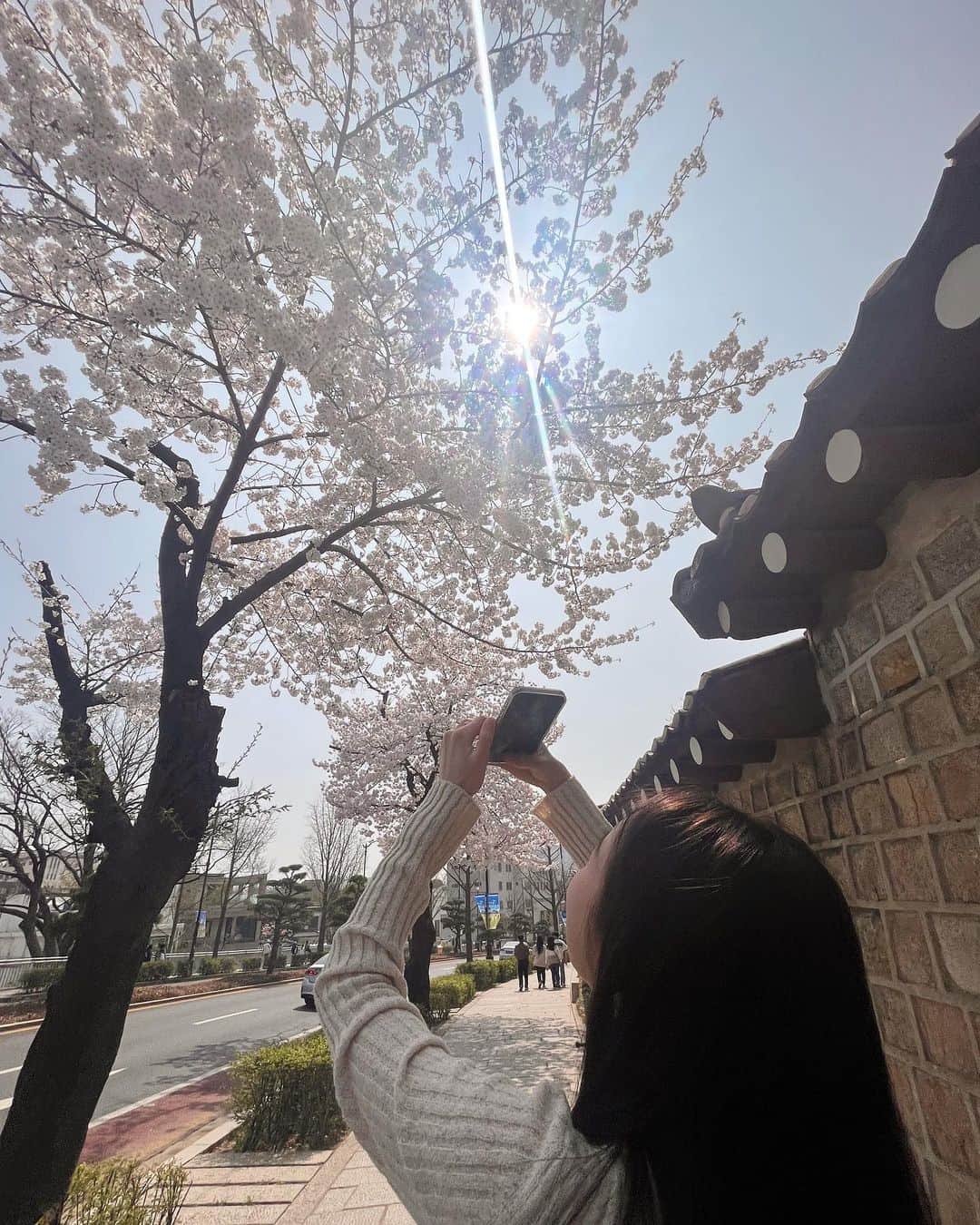 のインスタグラム：「언니랑 봄 데이트🌸」